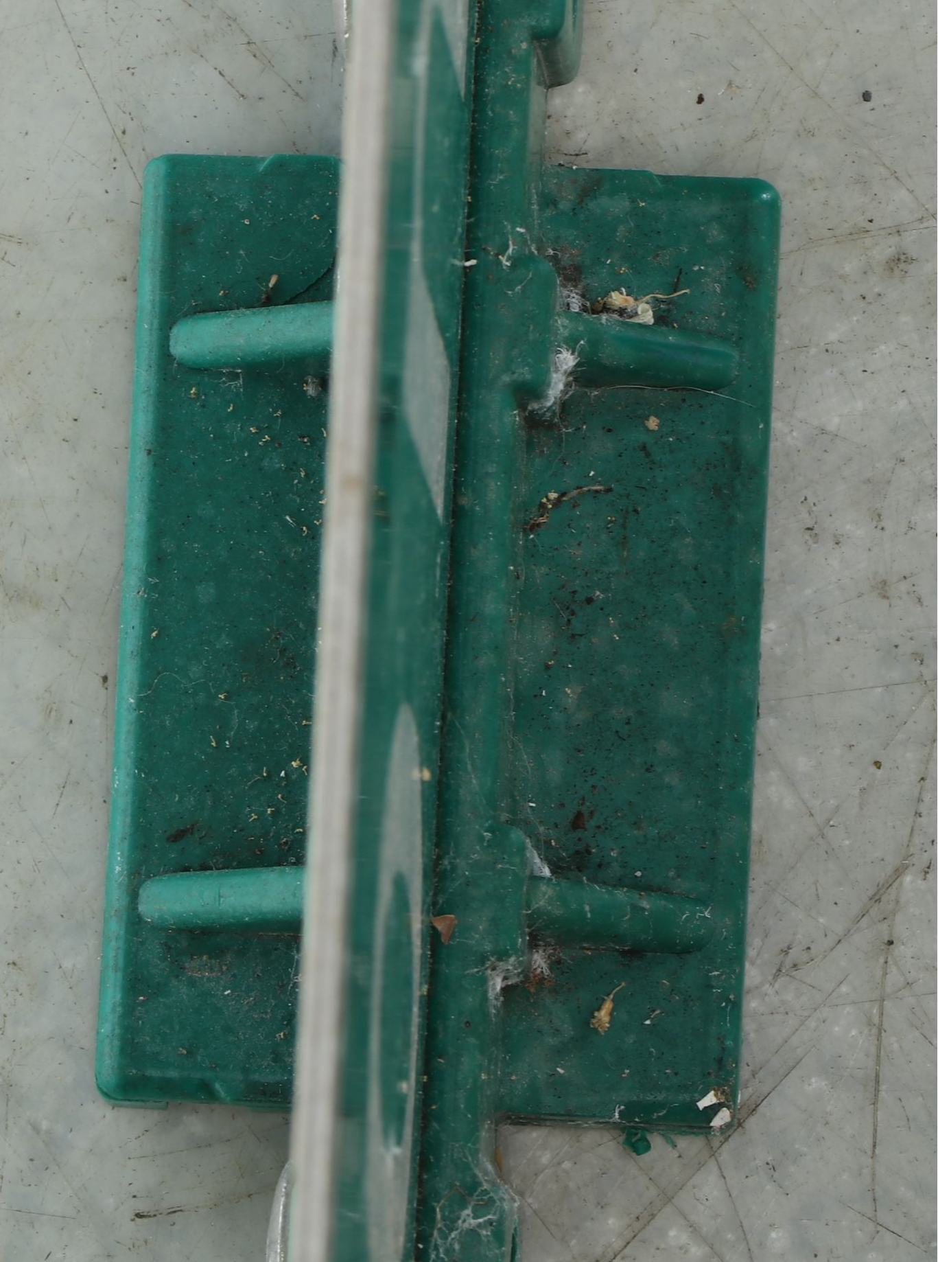 Cincinnati "Oregon Street" Reflective Sign