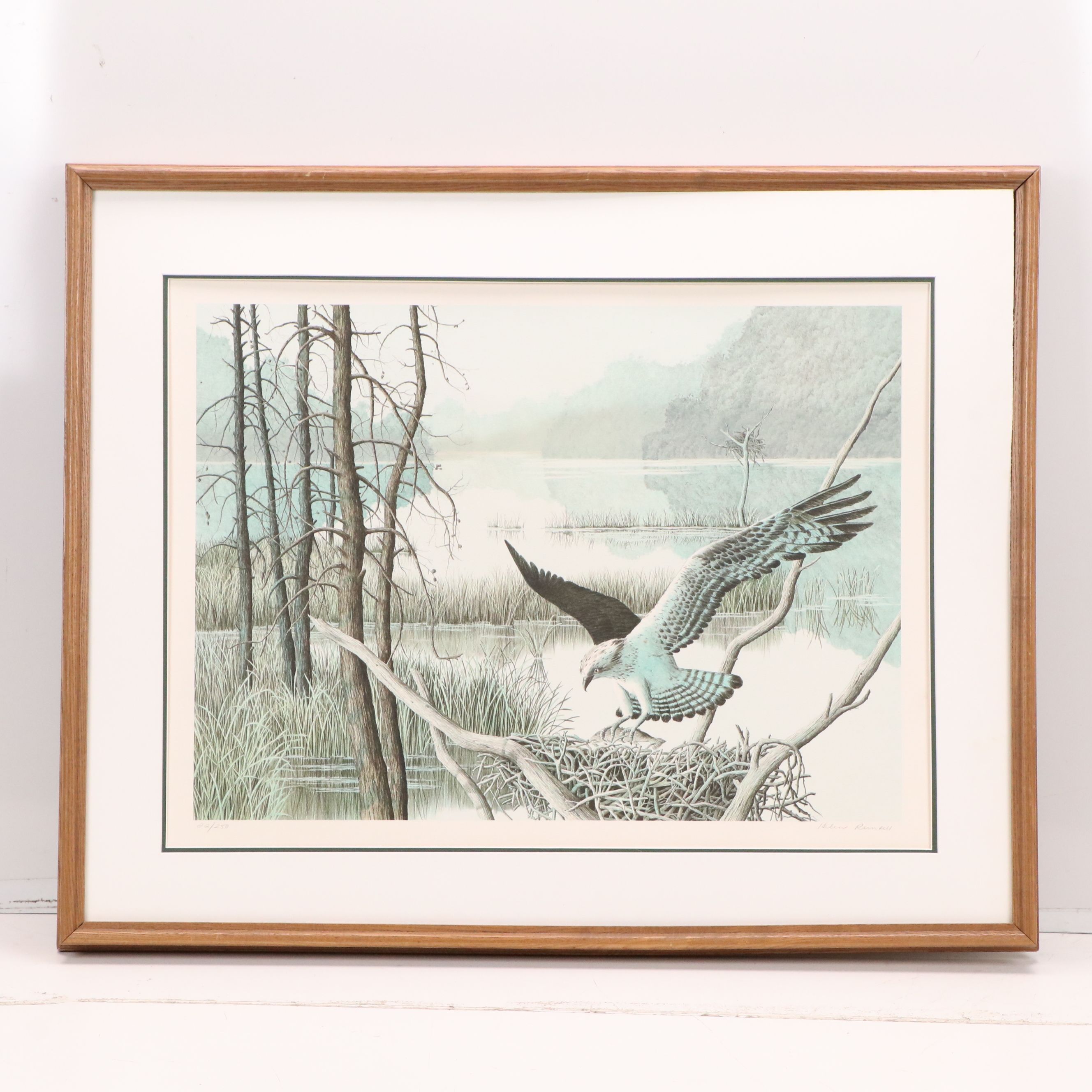 Helen Rundell Color Lithograph on Paper "Osprey," Circa 1979