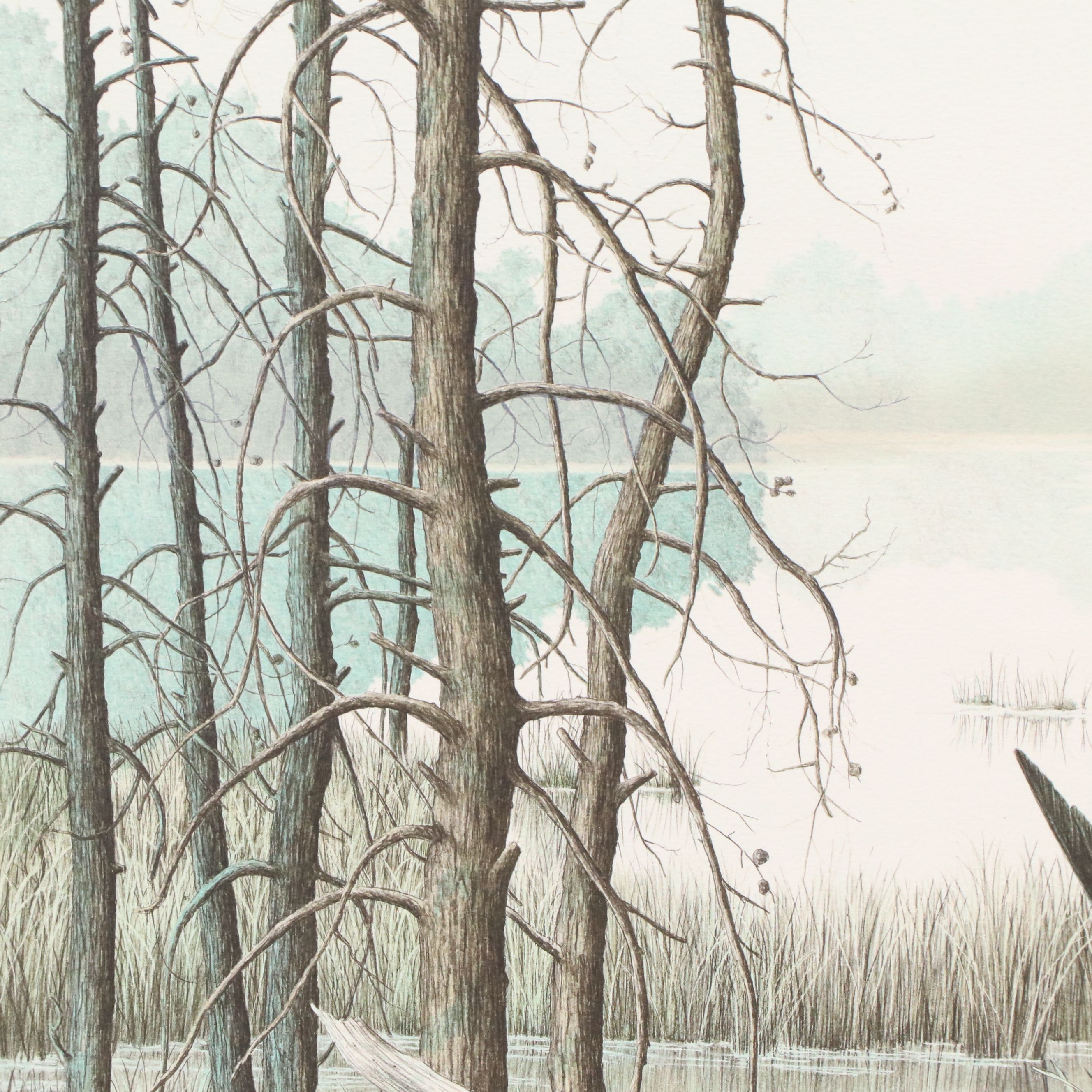 Helen Rundell Color Lithograph on Paper "Osprey," Circa 1979