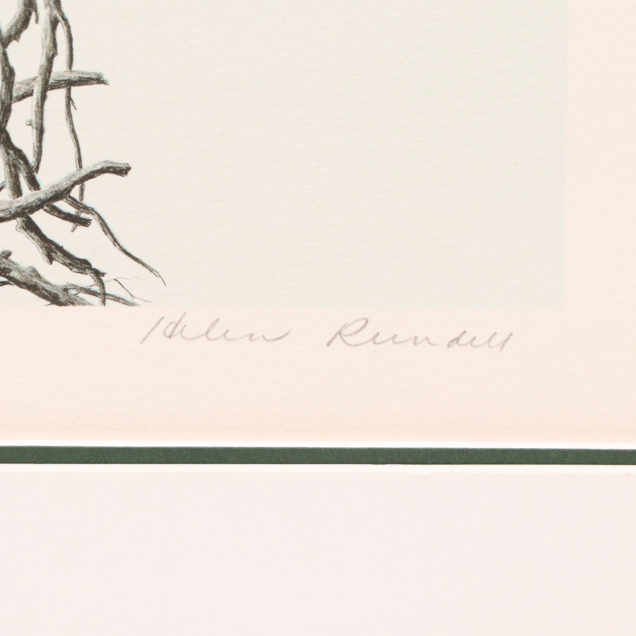 Helen Rundell Color Lithograph on Paper "Osprey," Circa 1979