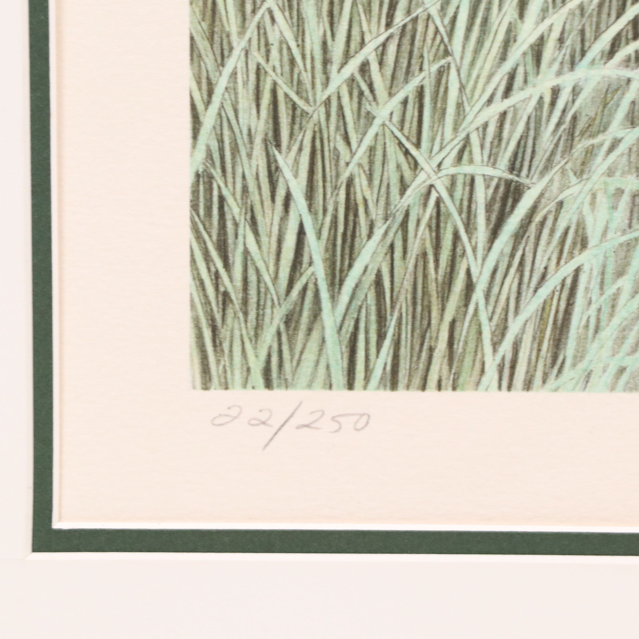 Helen Rundell Color Lithograph on Paper "Osprey," Circa 1979