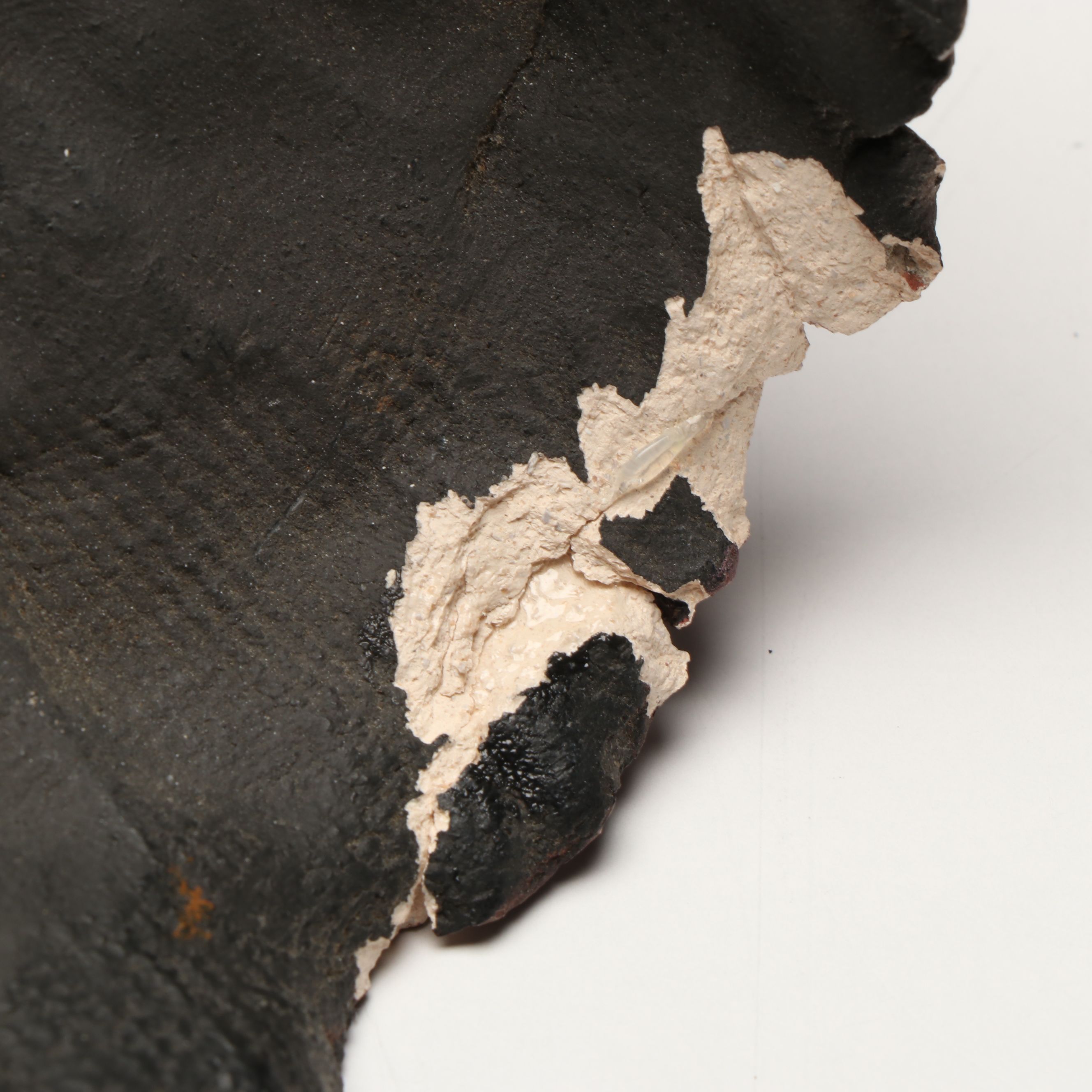 Attributed to Jorg Dubin Plaster Jaguar Mask, Late 20th/Early 21st C.