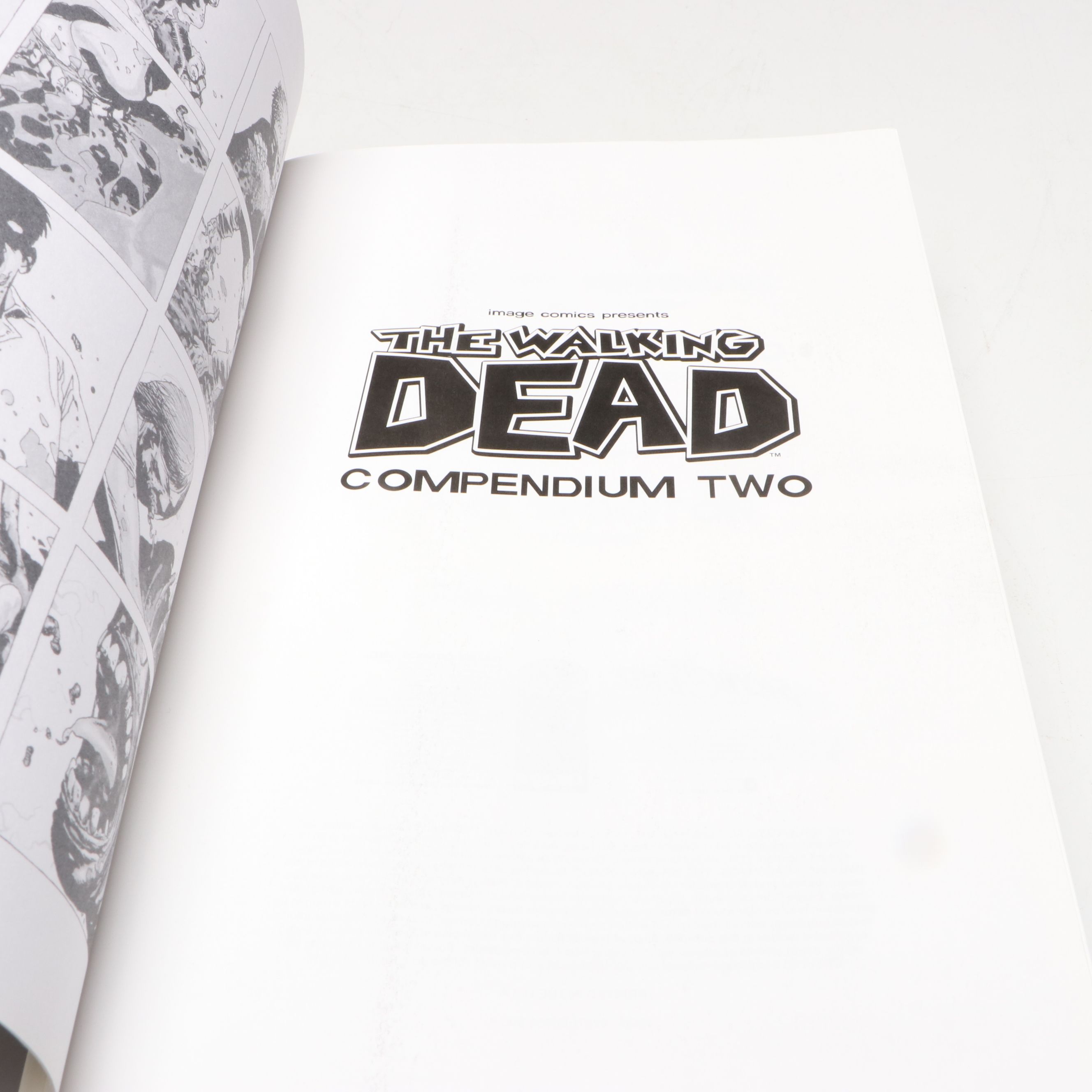 Image Comics "The Walking Dead" Compendia 1–3 by Robert Kirkman