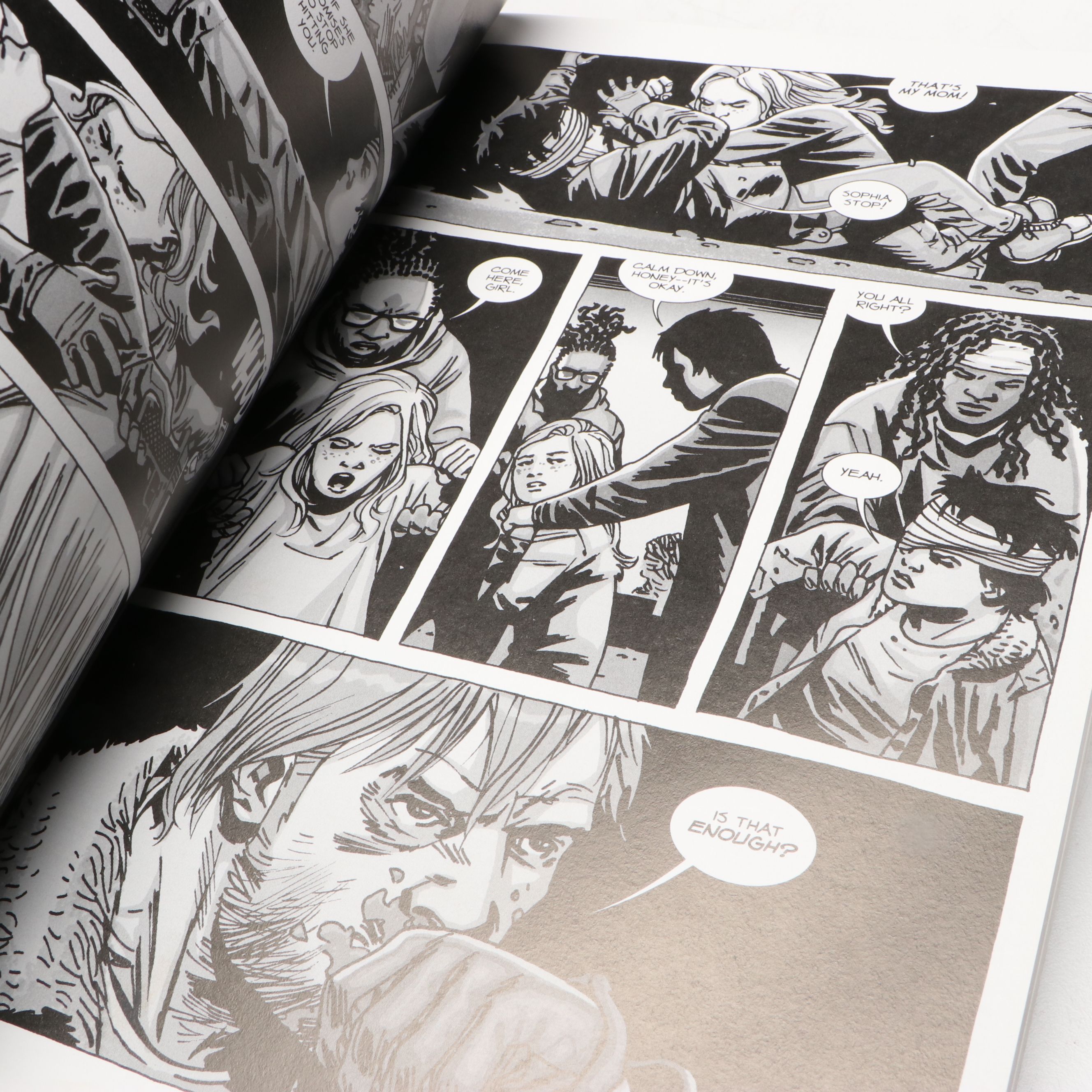 Image Comics "The Walking Dead" Compendia 1–3 by Robert Kirkman