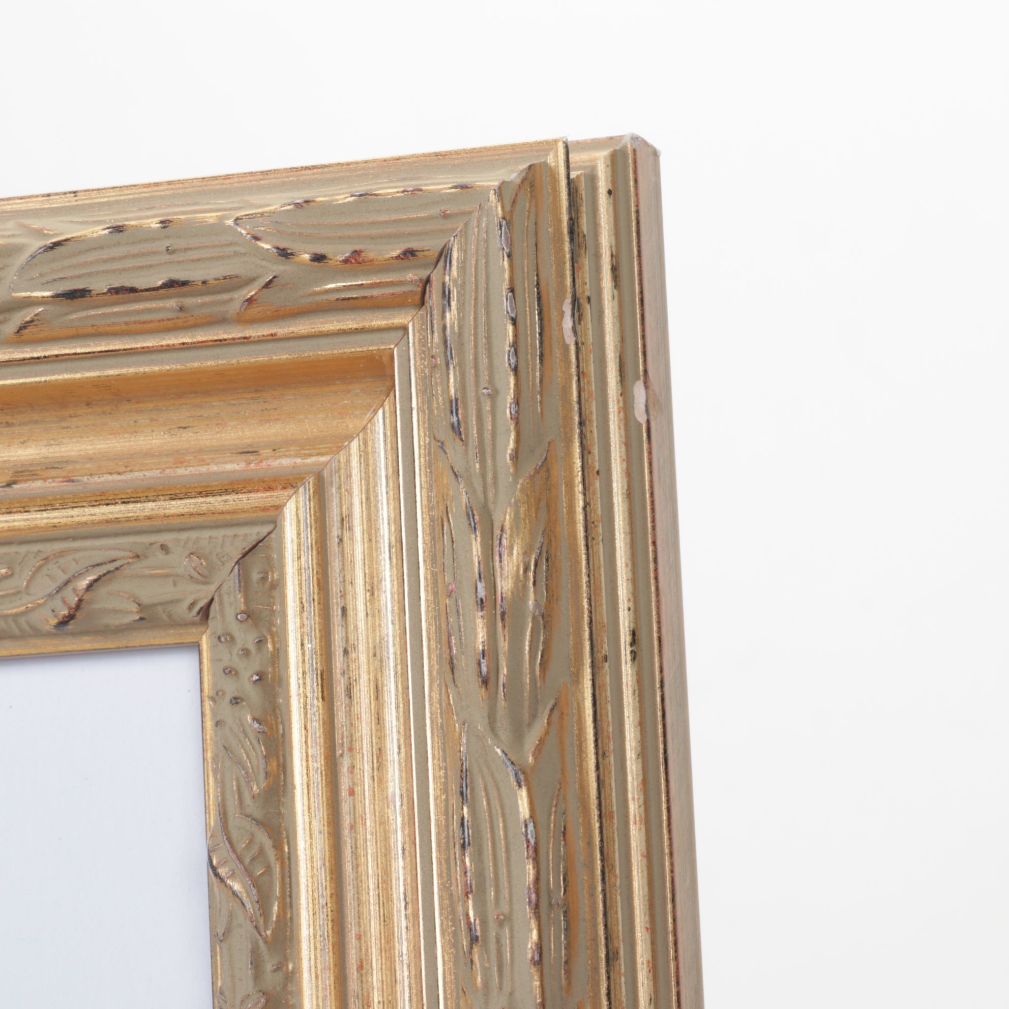 Giclée After Edward Joseph Lowe "Polypodium Pustulatum", Late 20th Century