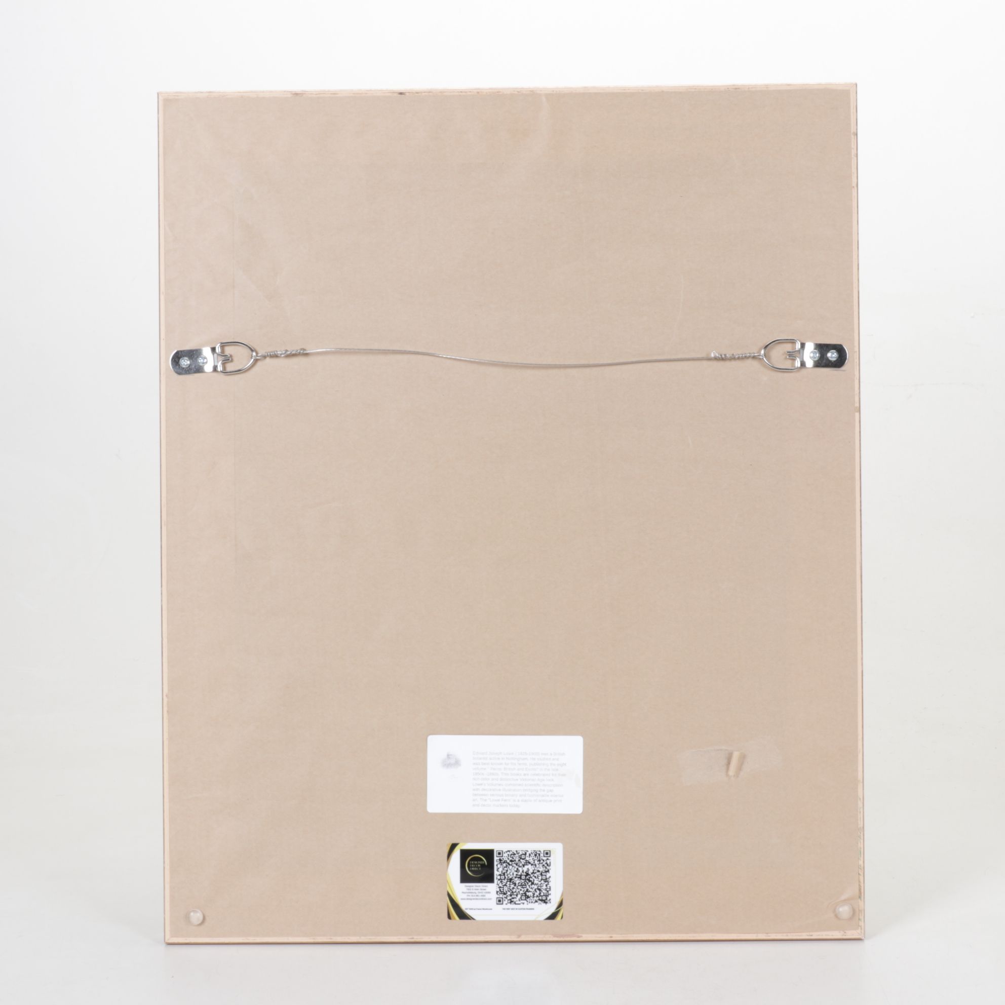 Giclée After Edward Joseph Lowe "Polypodium Pustulatum", Late 20th Century