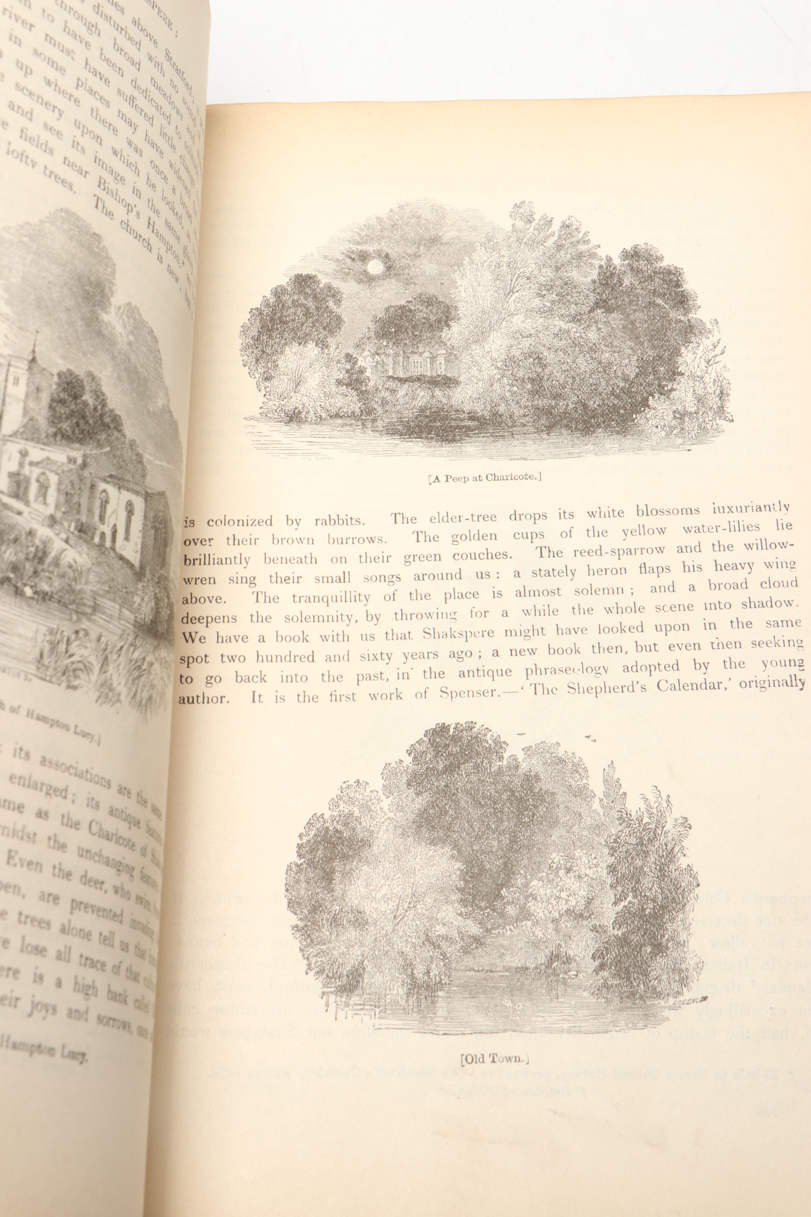 Pictorial Edition "The Works of Shakspere" Partial Set Edited by Charles Knight