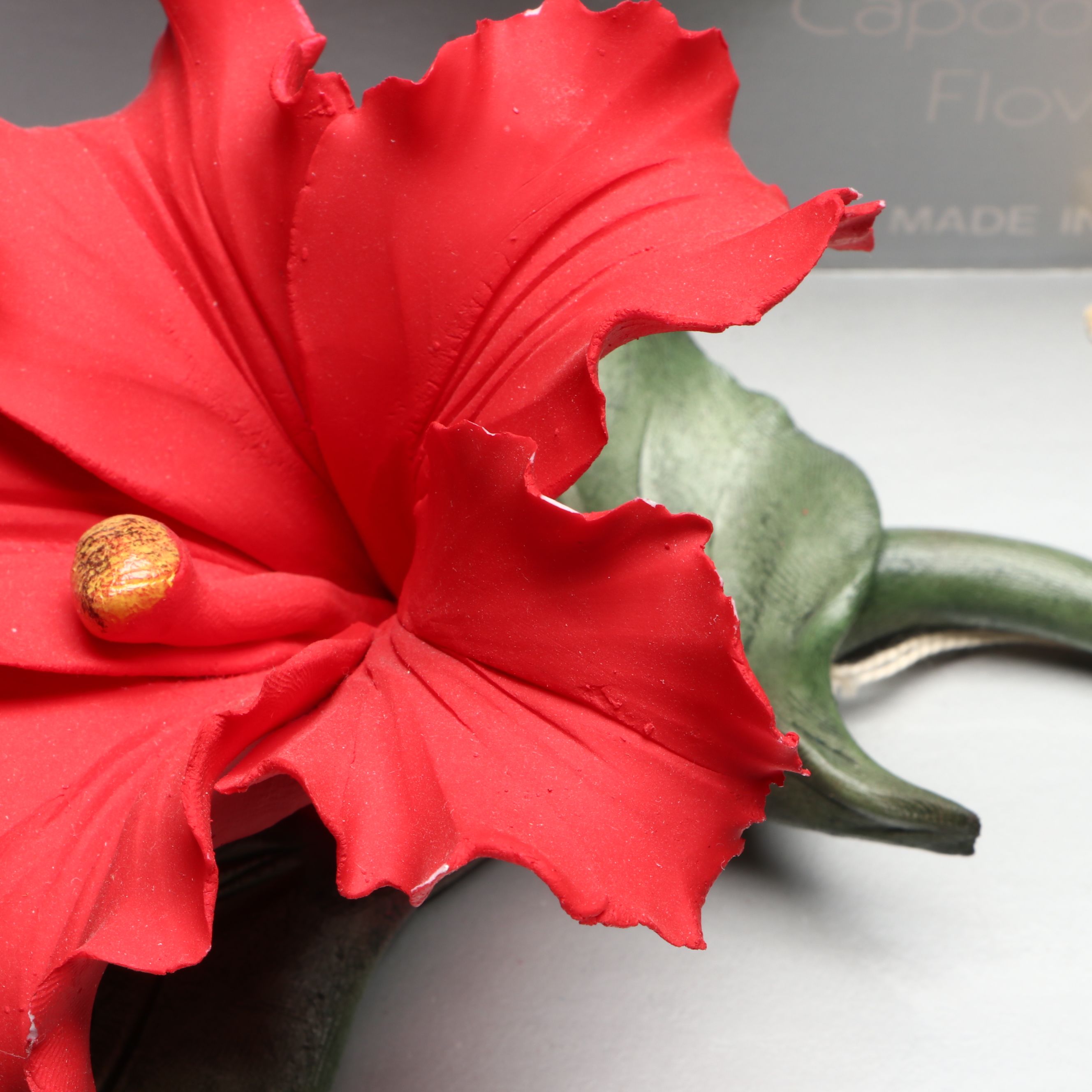 Italian Nuova Capodimonte Porcelain Flowers