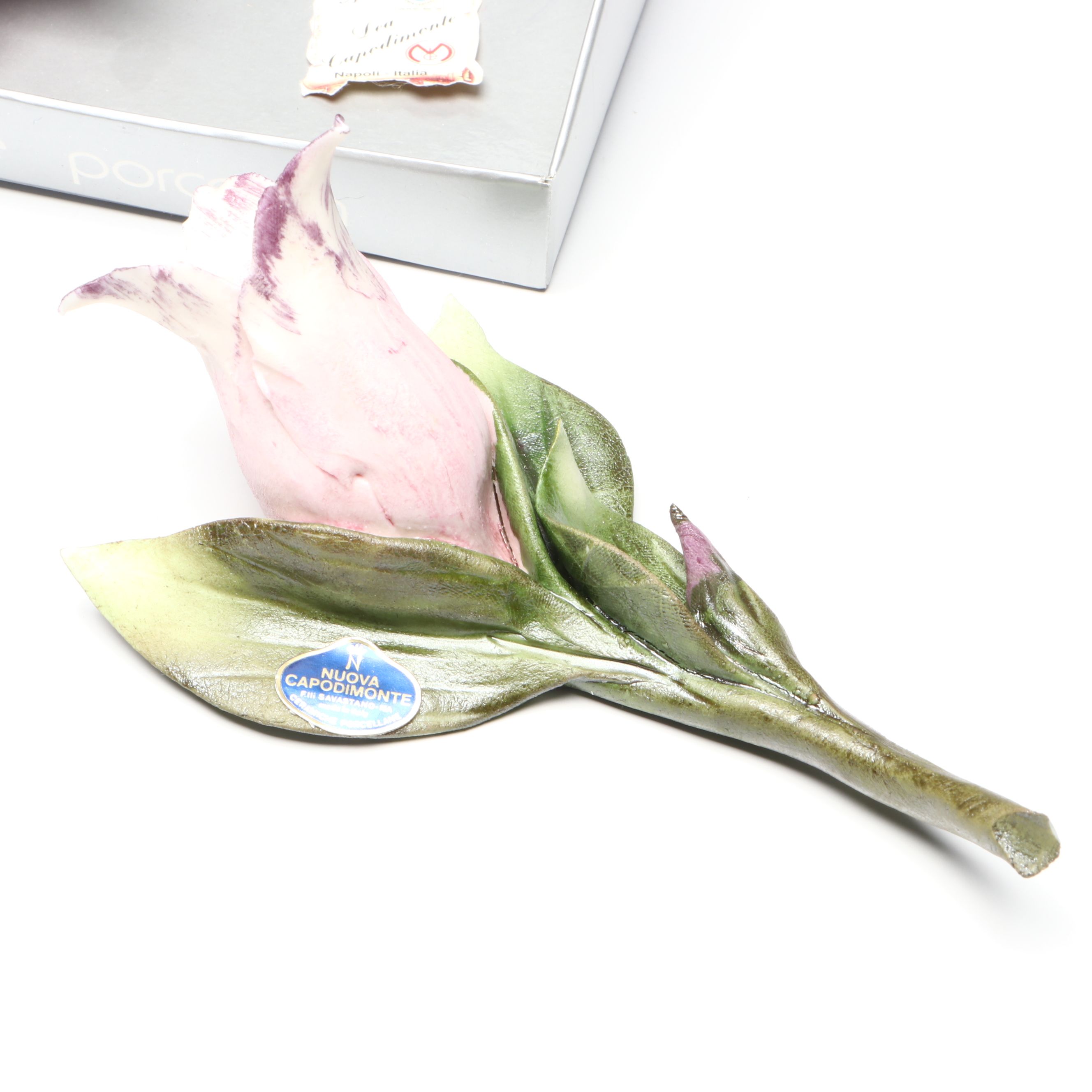 Italian Nuova Capodimonte Porcelain Flowers