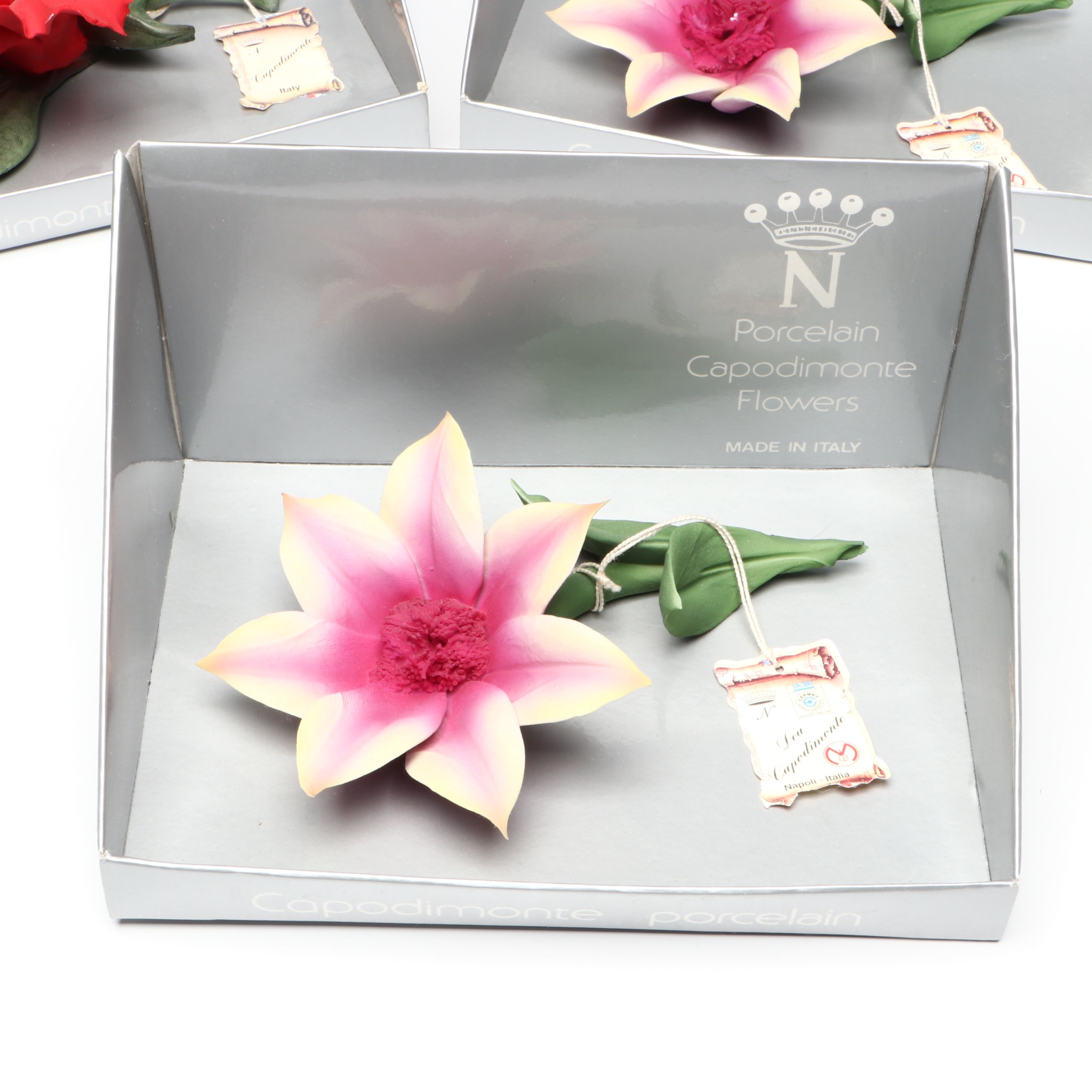 Italian Nuova Capodimonte Porcelain Flowers