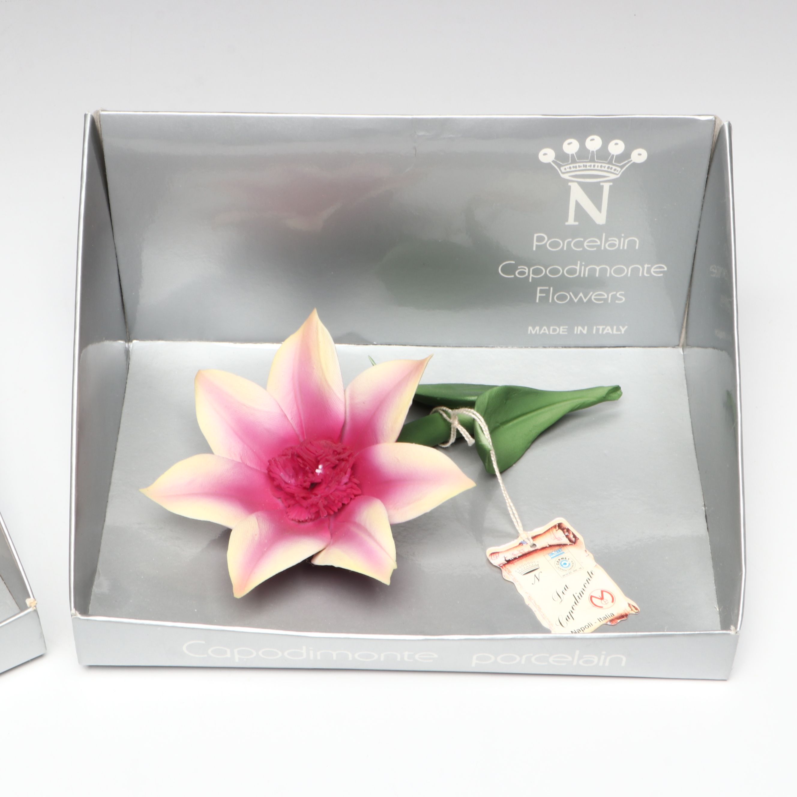 Italian Nuova Capodimonte Porcelain Flowers