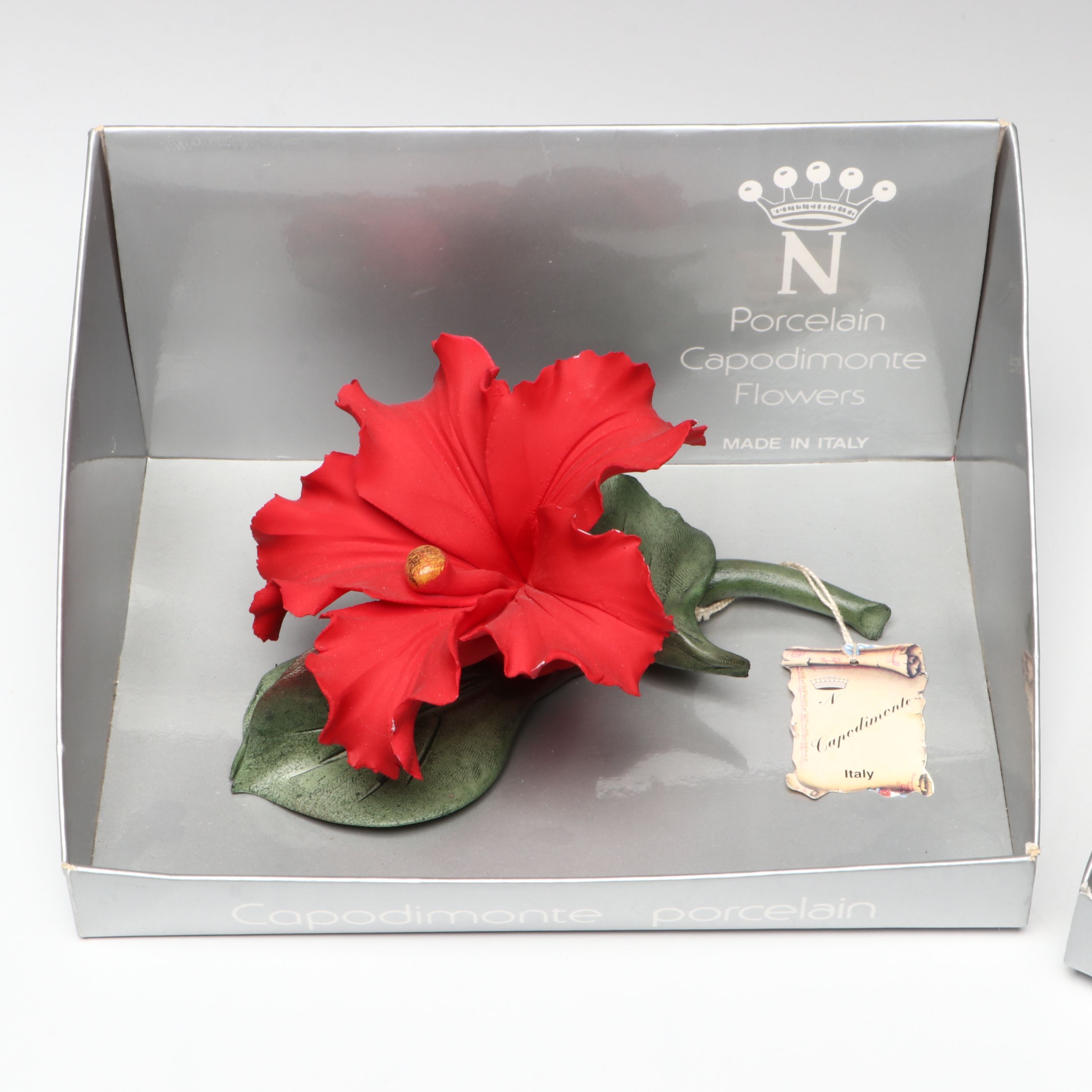 Italian Nuova Capodimonte Porcelain Flowers