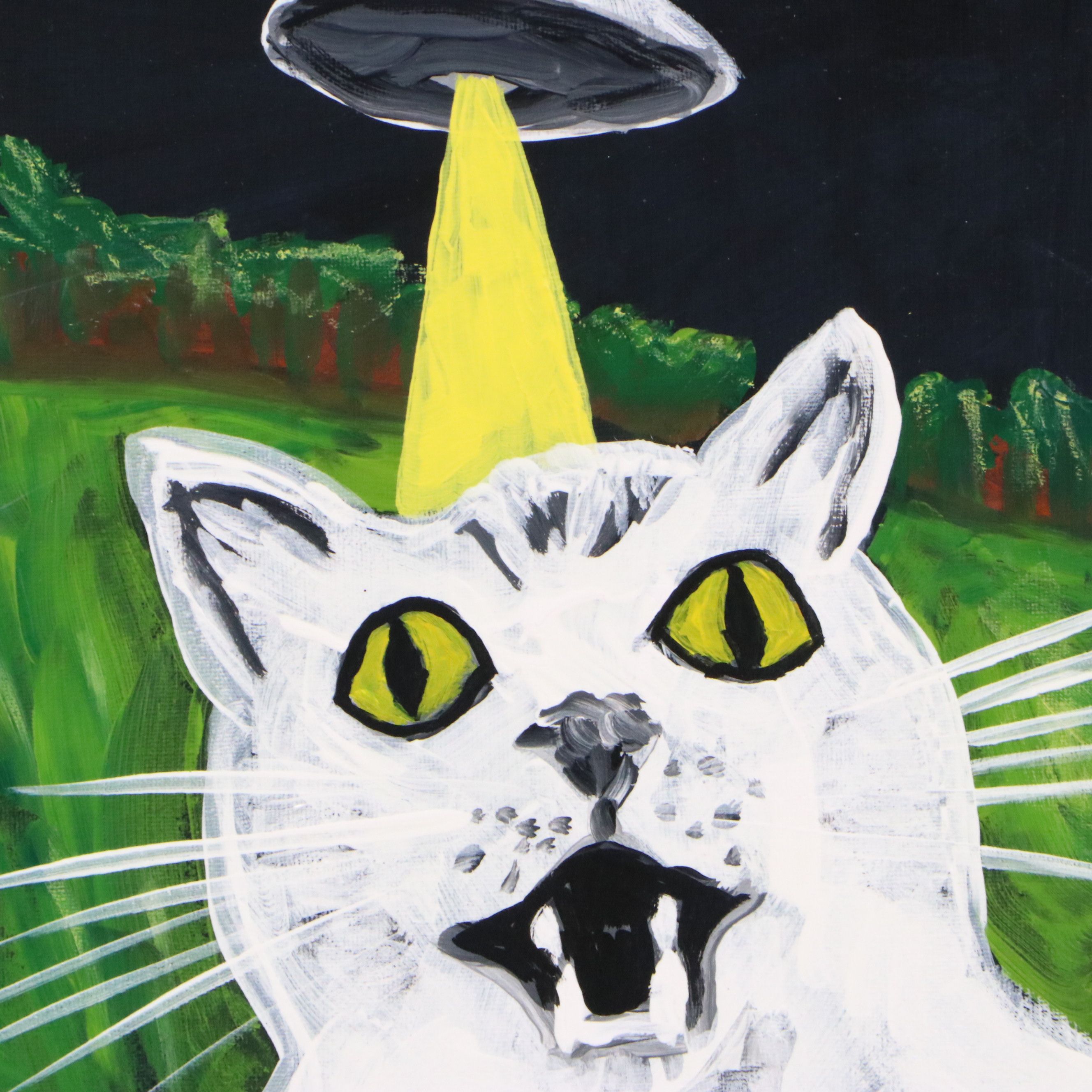 Jean LMNOP Acrylic Painting "UFO Cat Selfie," 2026