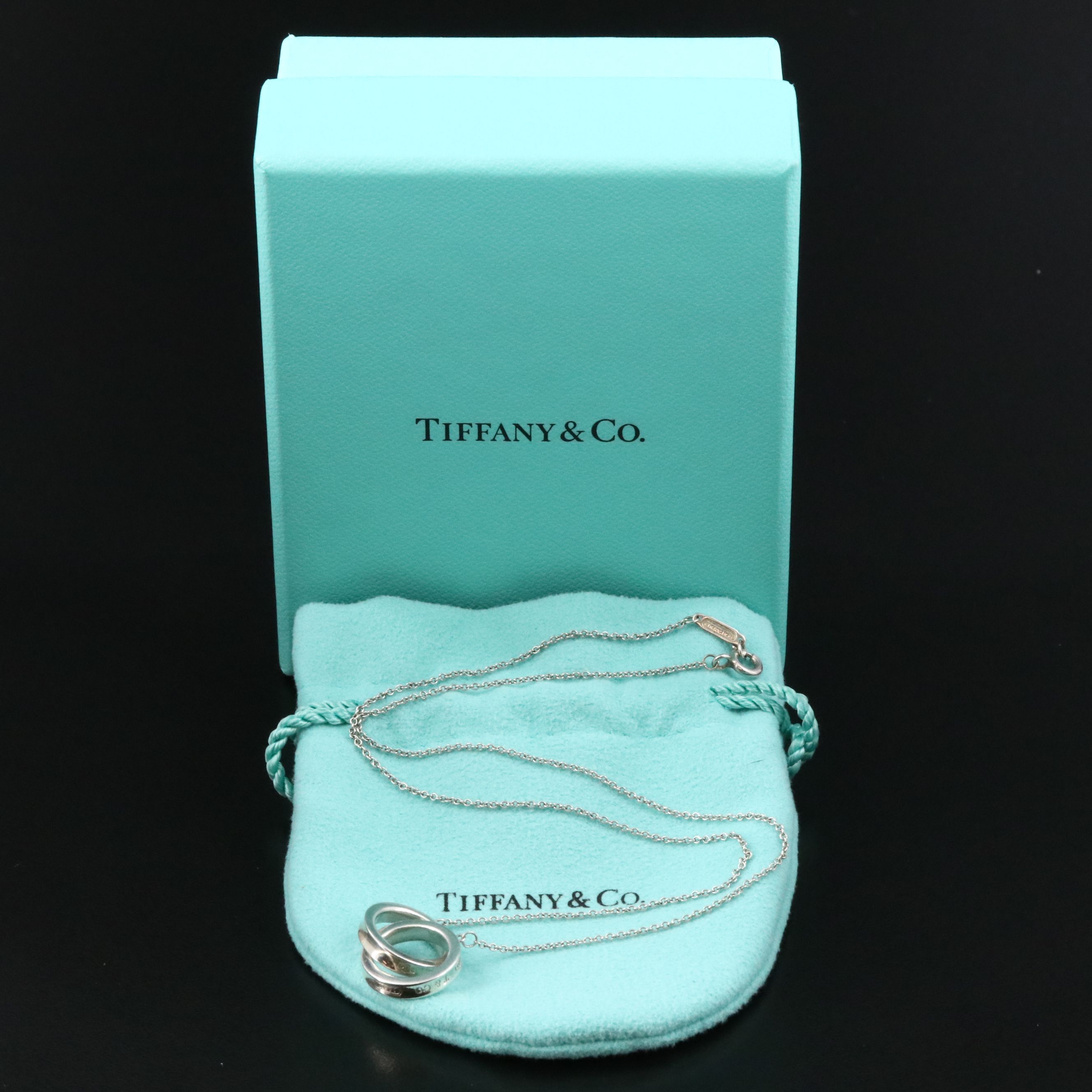 Tiffany & Co. 1837 Sterling Interlocking Circles Necklace