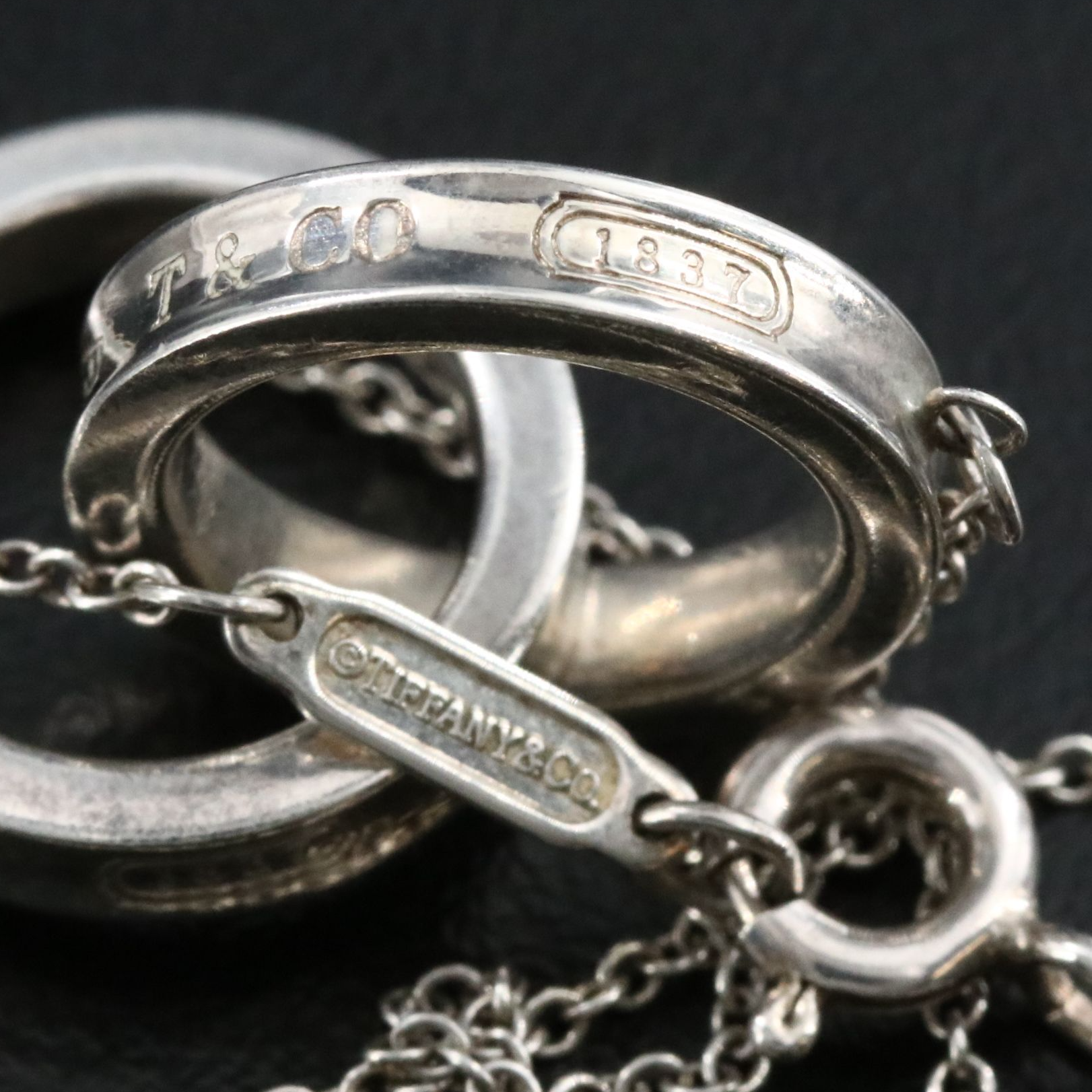 Tiffany & Co. 1837 Sterling Interlocking Circles Necklace