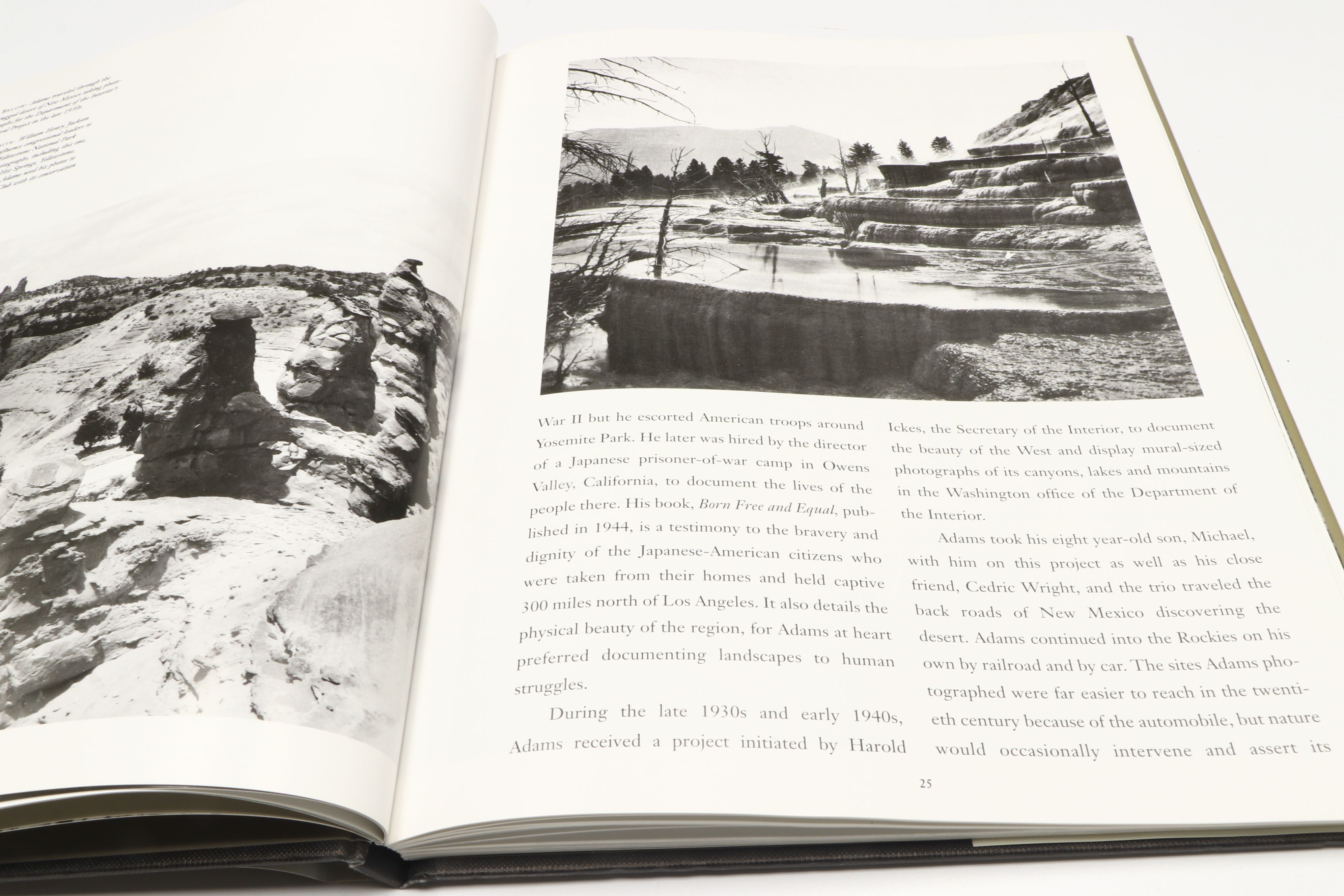 "Essential History of Art," "Ansel Adams," and More Art History Books