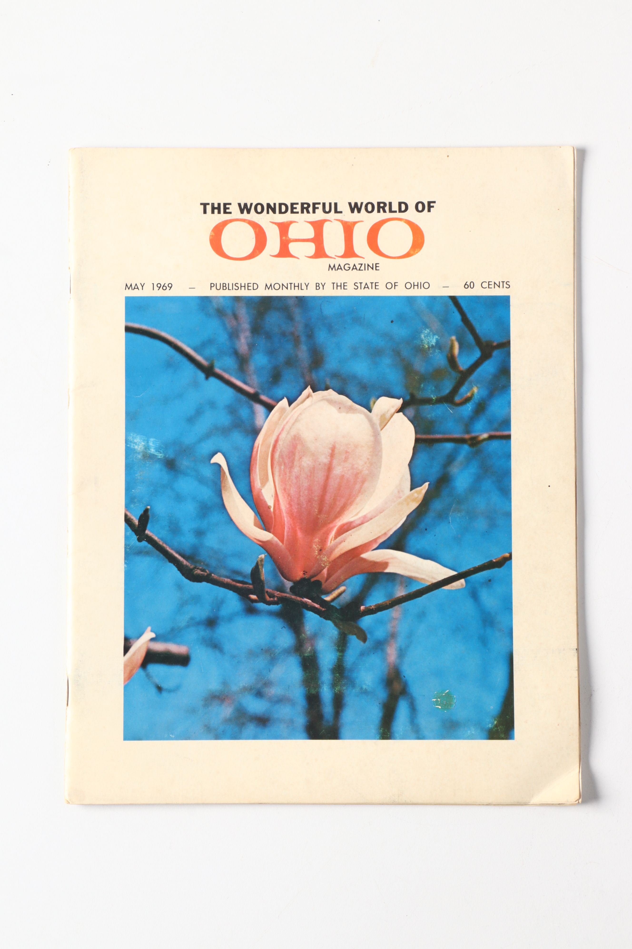 1913 Livestock Sale Poster, 1907 Rookwood Postcard and More