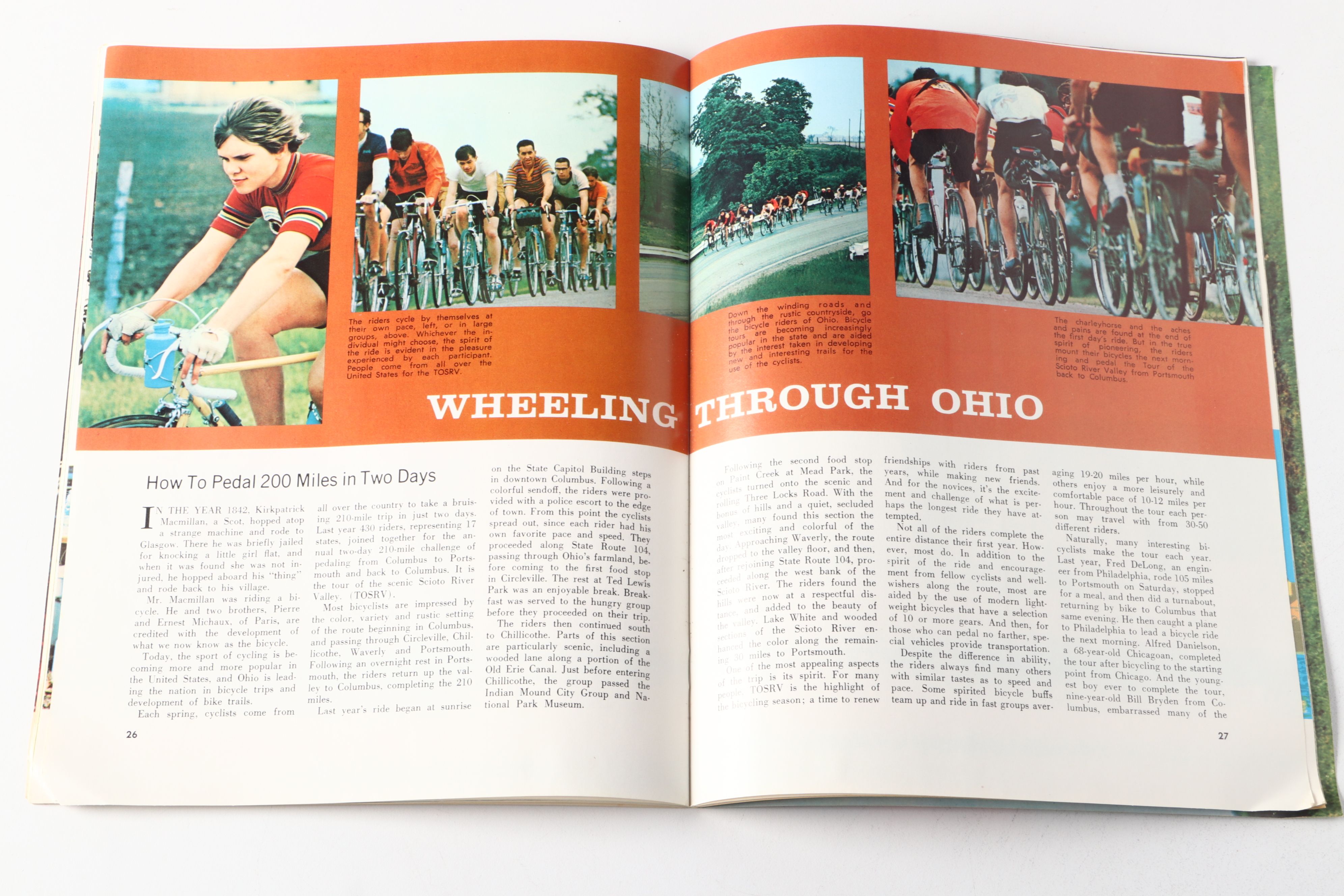 1913 Livestock Sale Poster, 1907 Rookwood Postcard and More