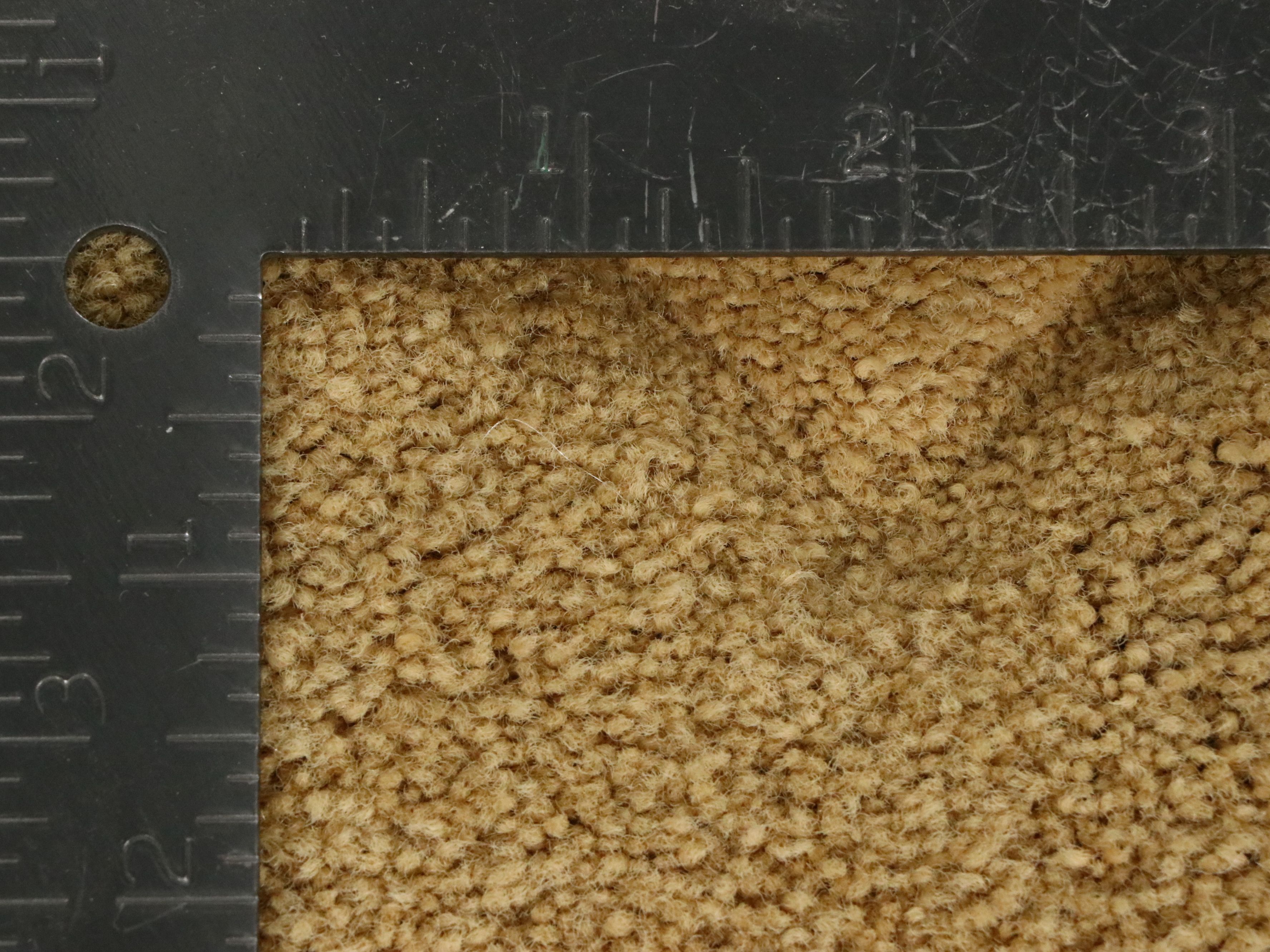 9' x 14'11 Machine Made Carved Postmodern Deco Revival Room-Sized Rug