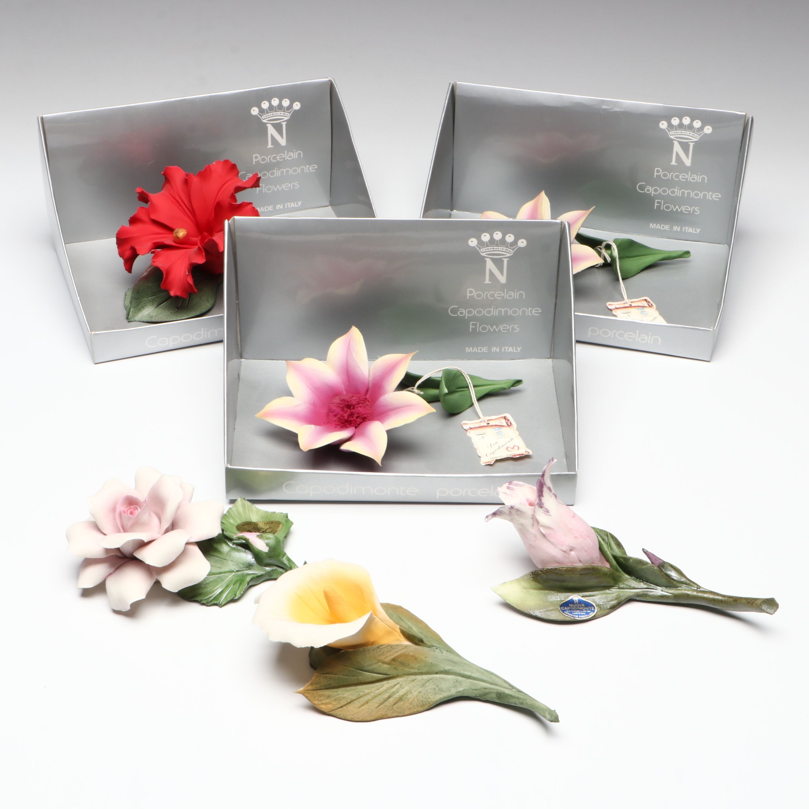 Italian Nuova Capodimonte Porcelain Flowers