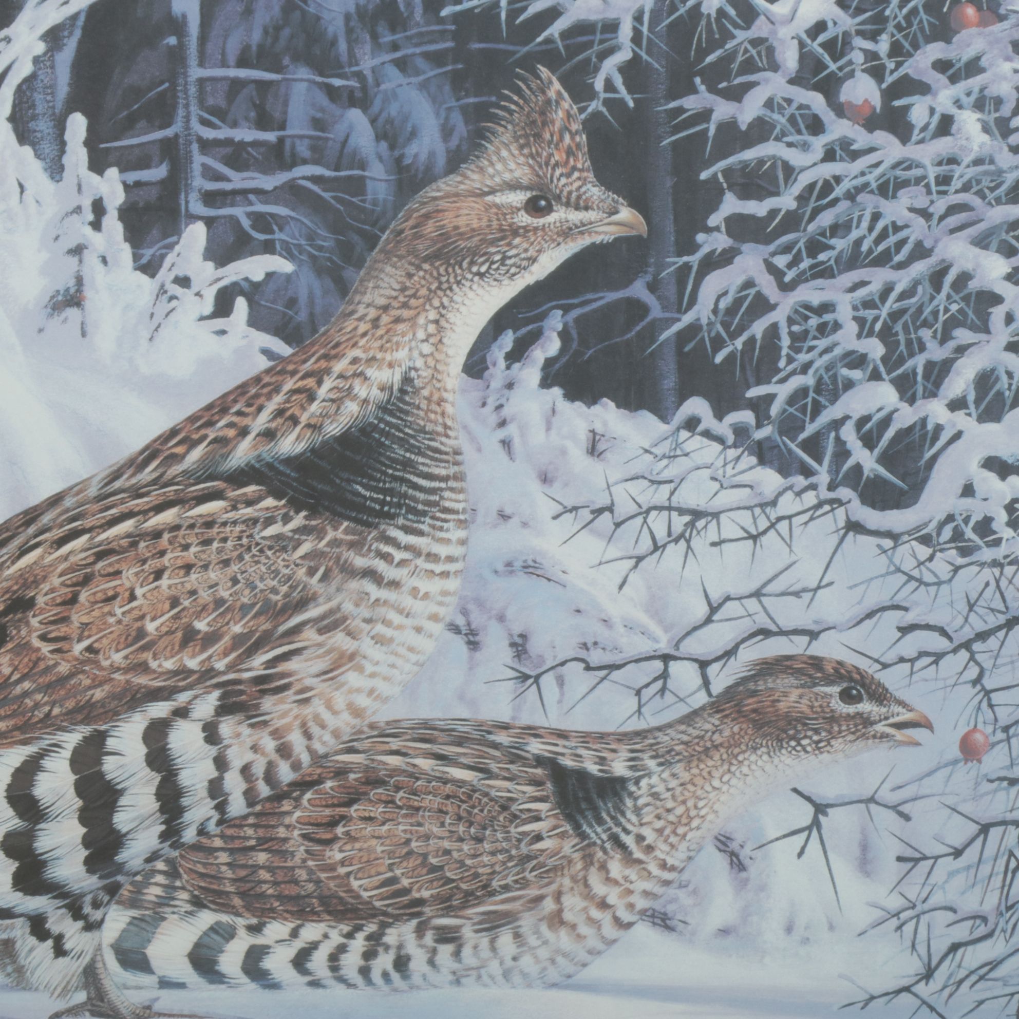 Robert Clement Kray Ornithological Offset Lithograph "Hawthorn Grouse"