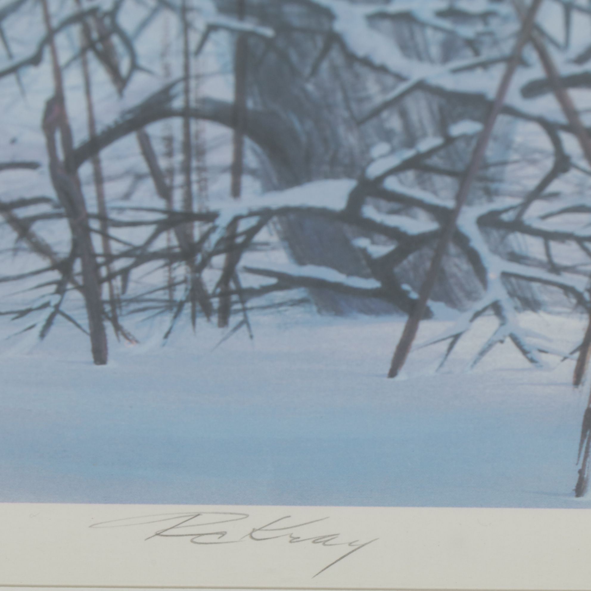 Robert Clement Kray Ornithological Offset Lithograph "Hawthorn Grouse"