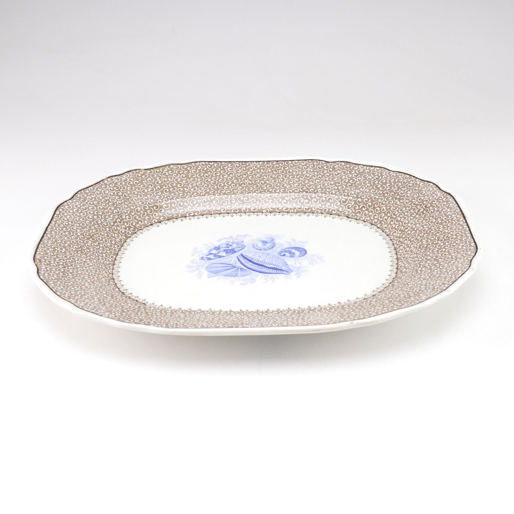 Thomas Dimmock Co. for Staffordshire Two-Tone "Conchology" Transferware Platter
