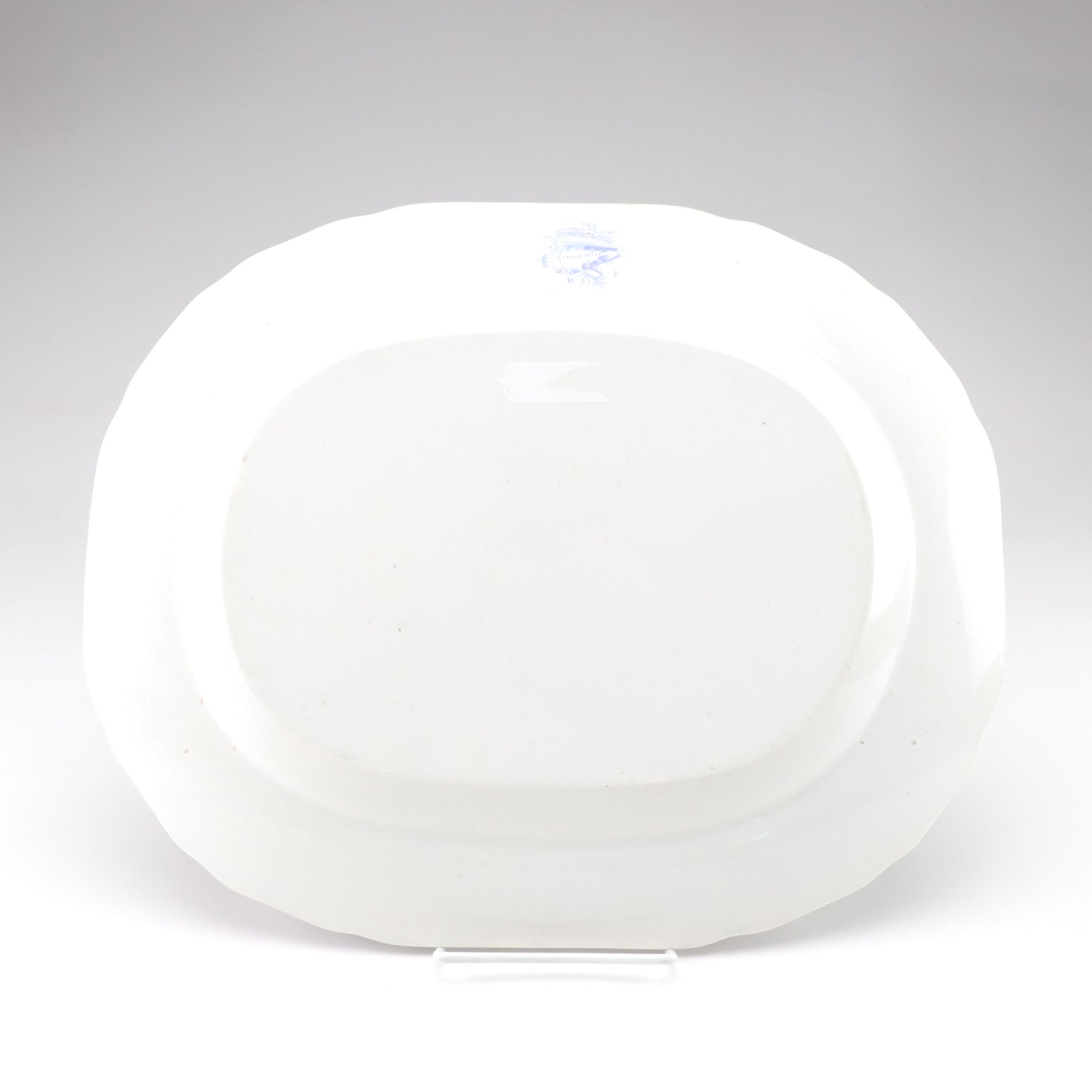 Thomas Dimmock Co. for Staffordshire Two-Tone "Conchology" Transferware Platter