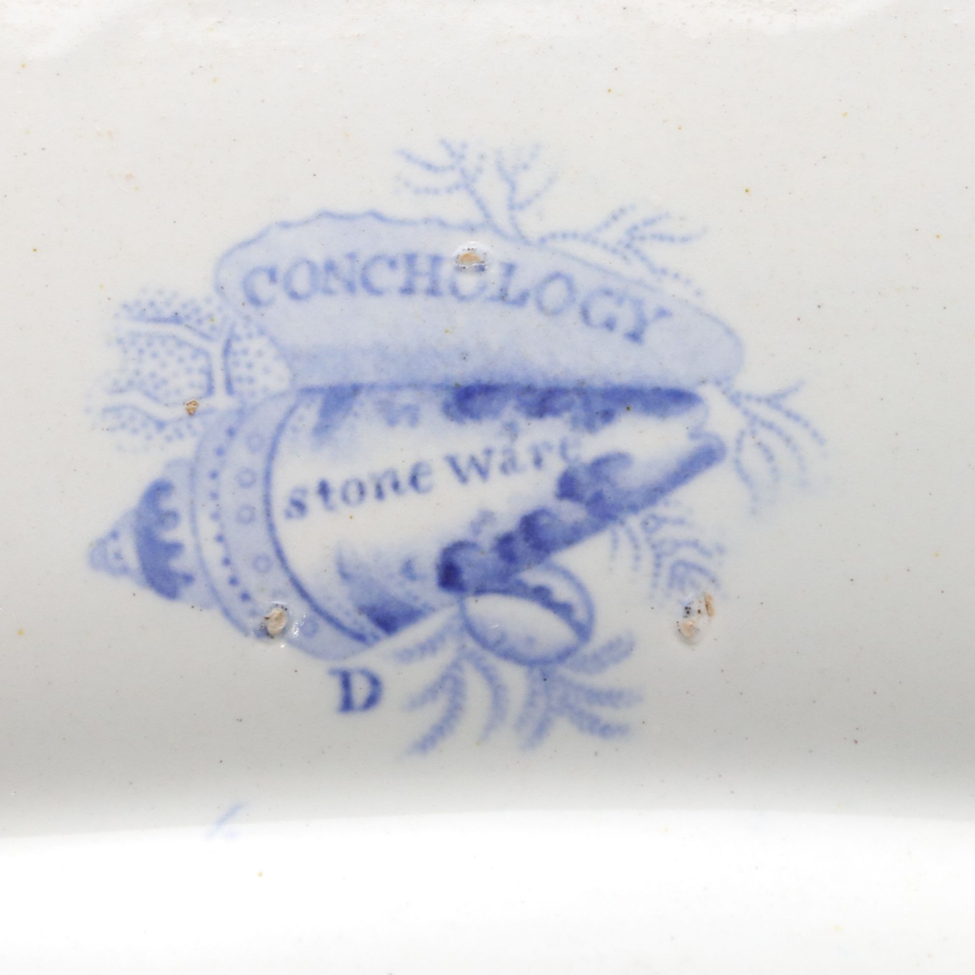 Thomas Dimmock Co. for Staffordshire Two-Tone "Conchology" Transferware Platter