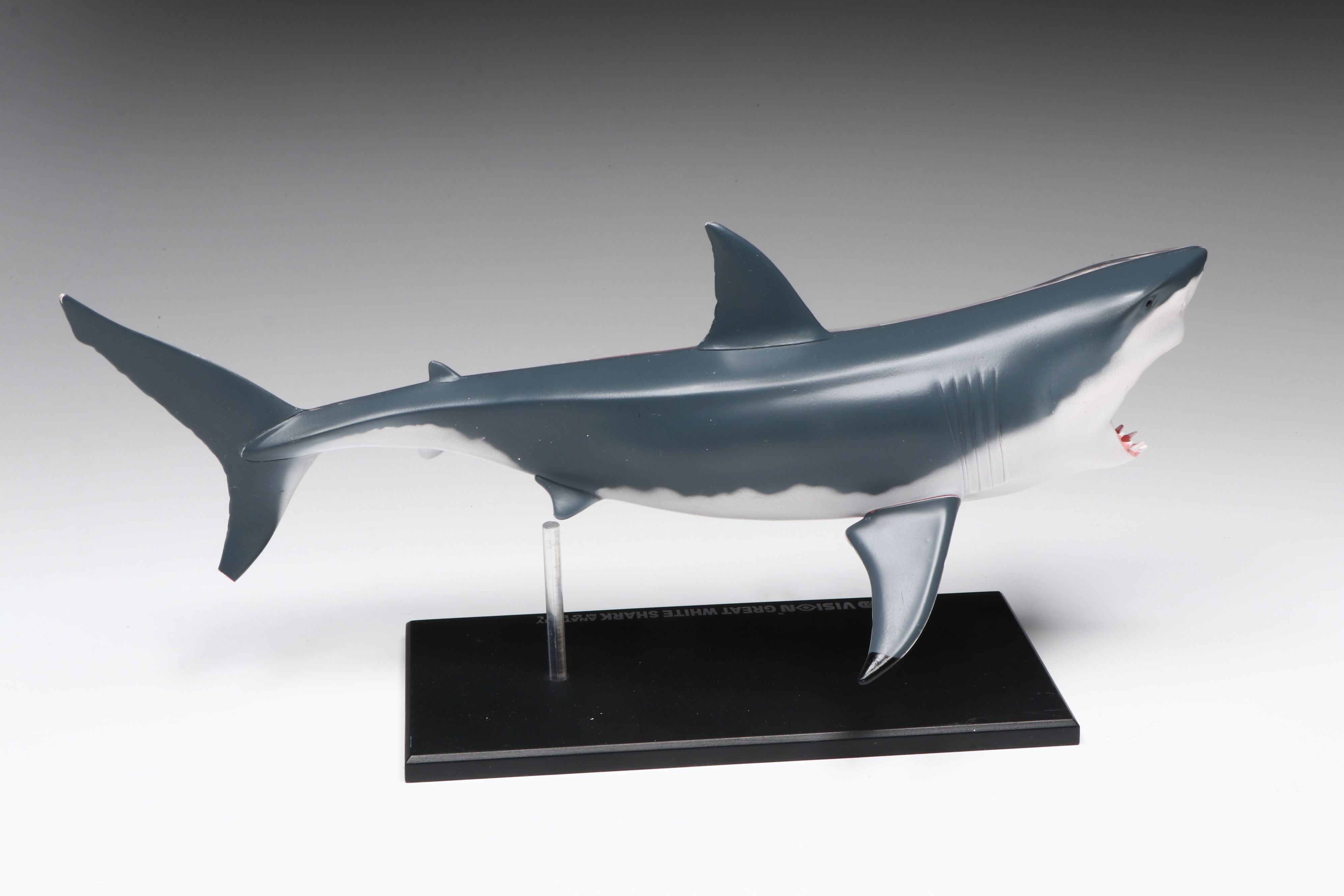 4D Vision Great White Shark, Horse and Pig Anatomy Models