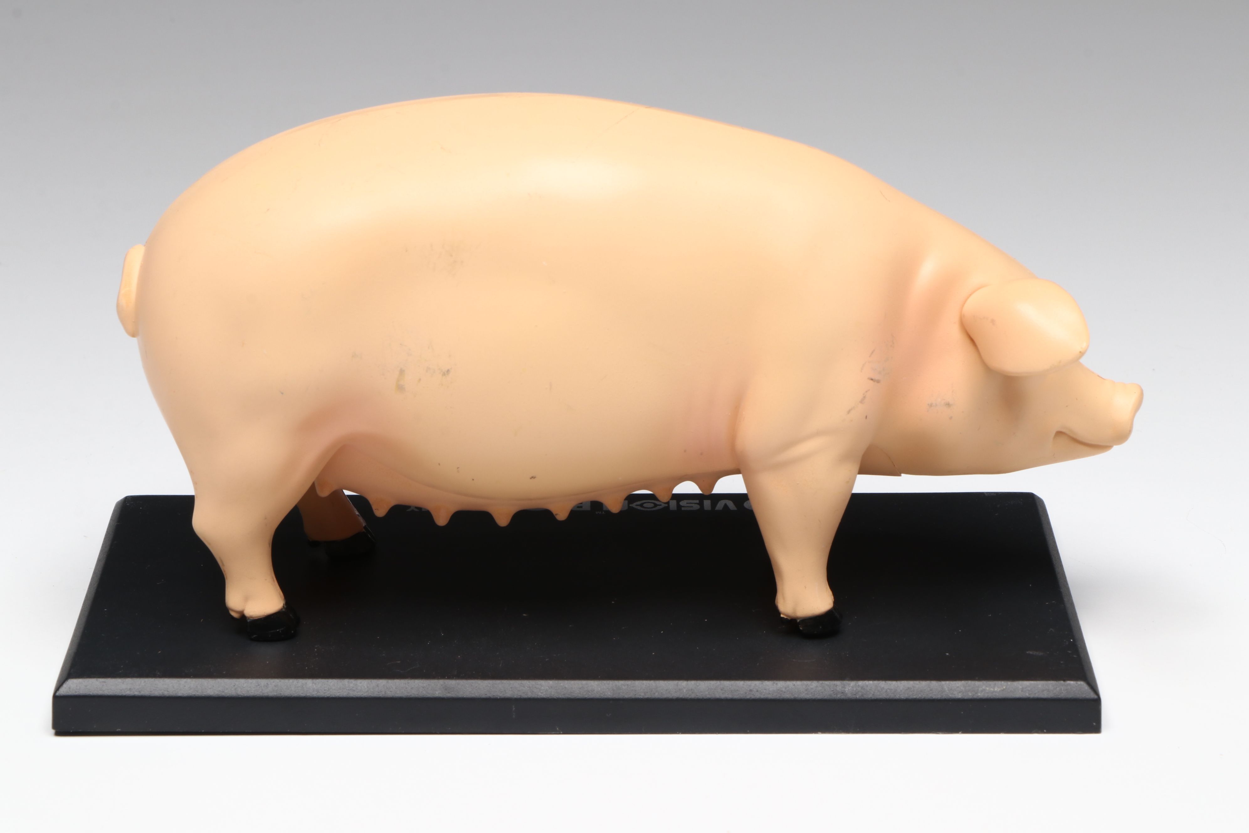 4D Vision Great White Shark, Horse and Pig Anatomy Models