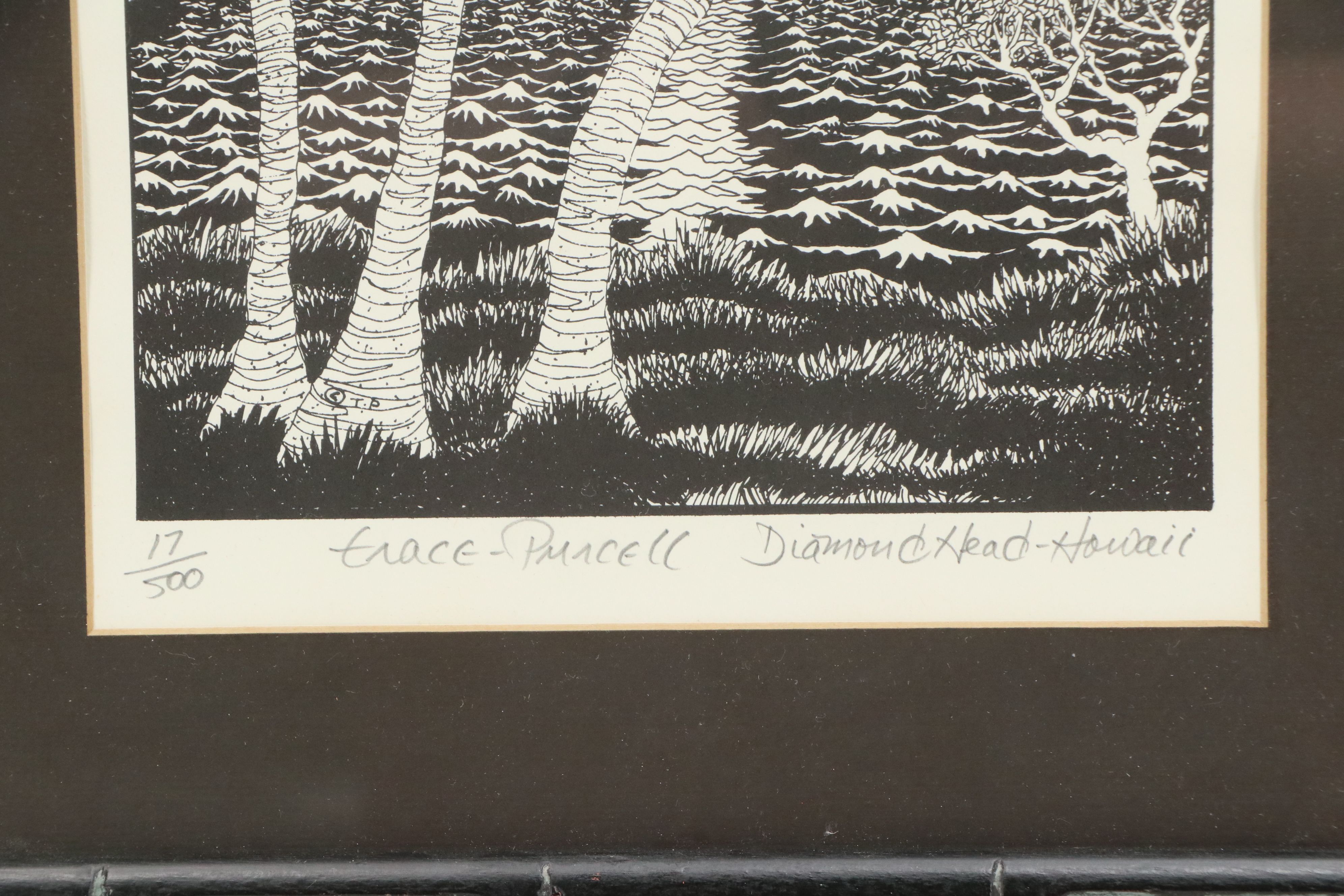 Trace Purcell Lithographs of Hawaiian Landscape and Flowers, Late 20th Century