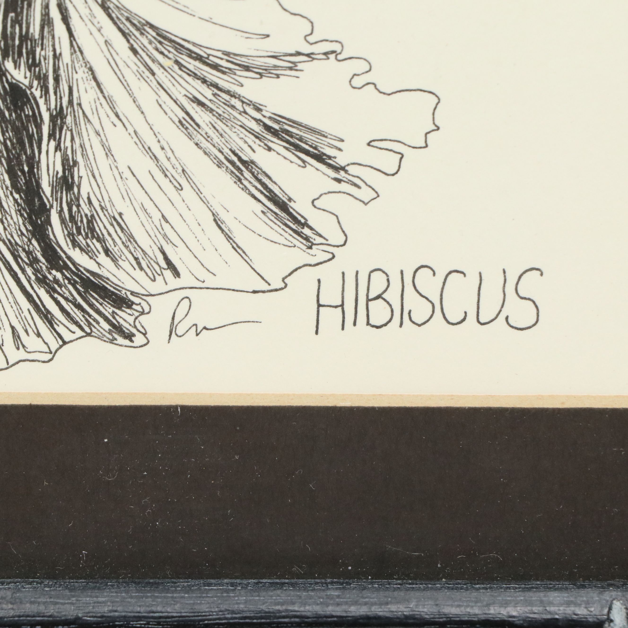 Trace Purcell Lithographs of Hawaiian Landscape and Flowers, Late 20th Century