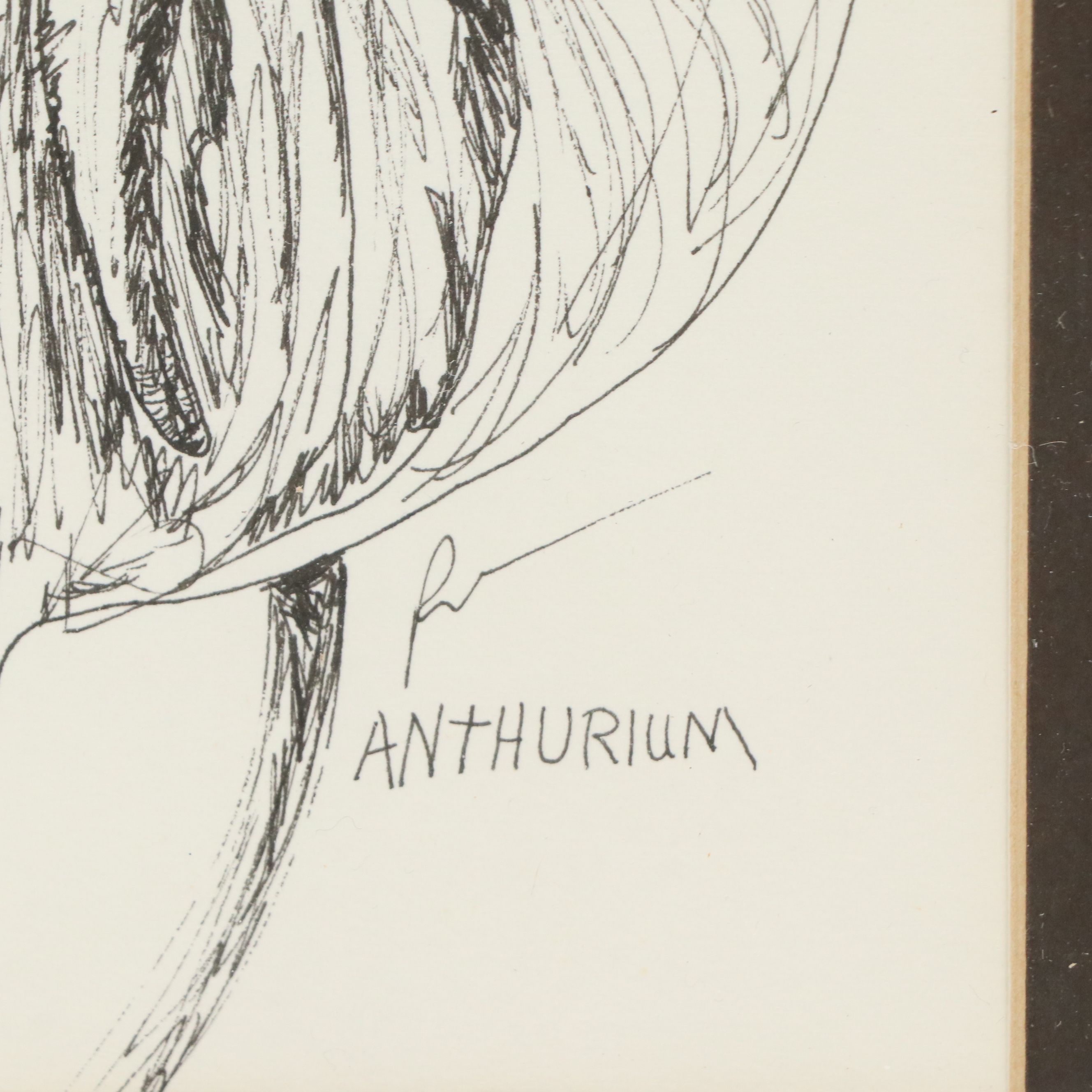 Trace Purcell Lithographs of Hawaiian Landscape and Flowers, Late 20th Century