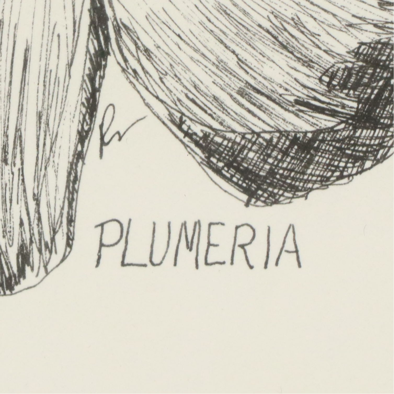 Trace Purcell Lithographs of Hawaiian Landscape and Flowers, Late 20th Century