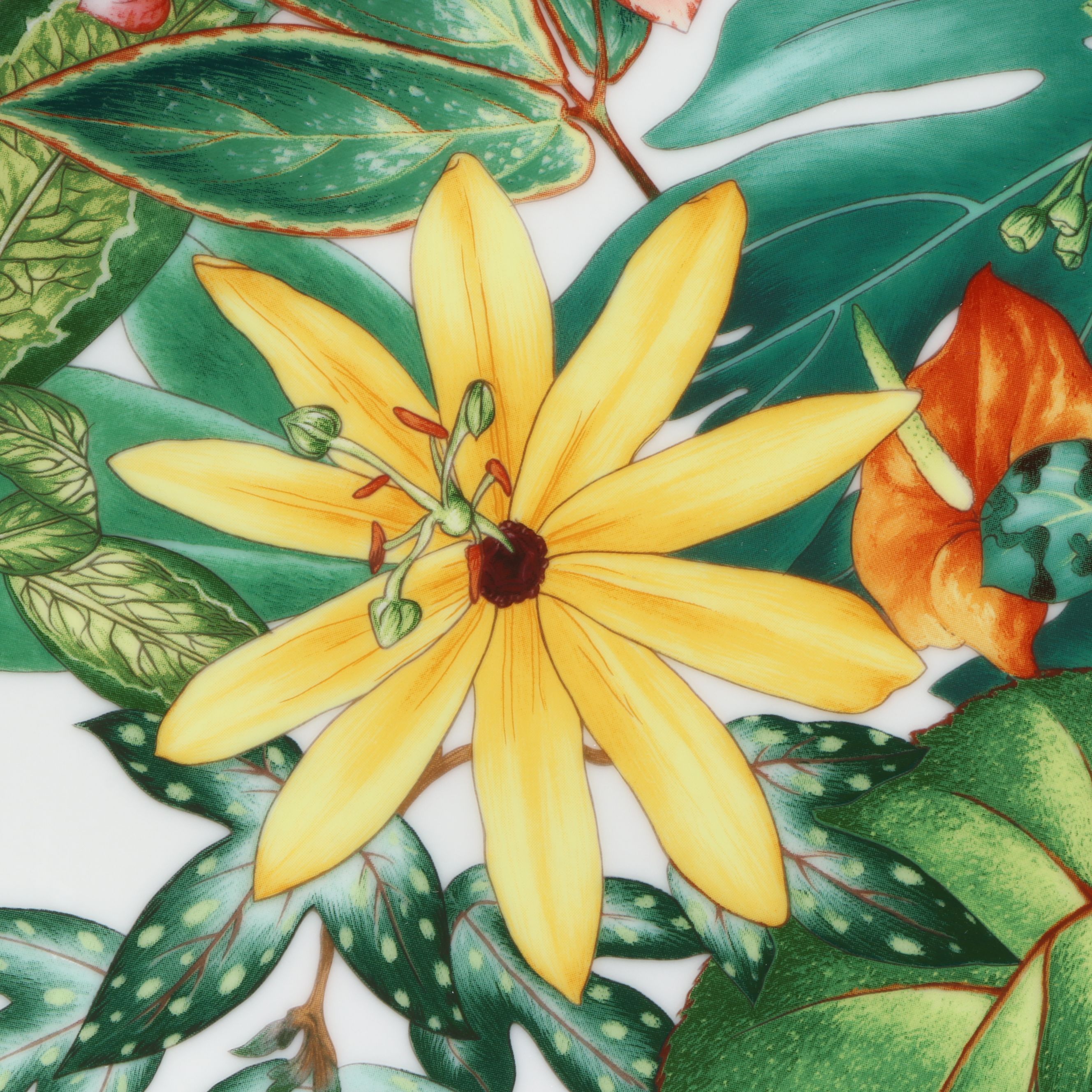 Hermès "Passifolia" Porcelain Plate