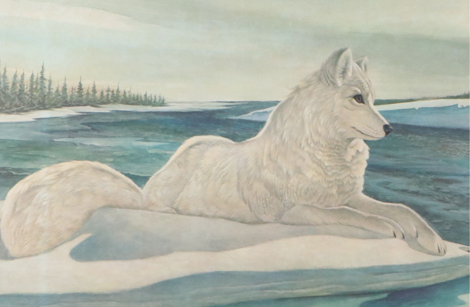 John A. Ruthven Offset Lithograph "Arctic Fox"