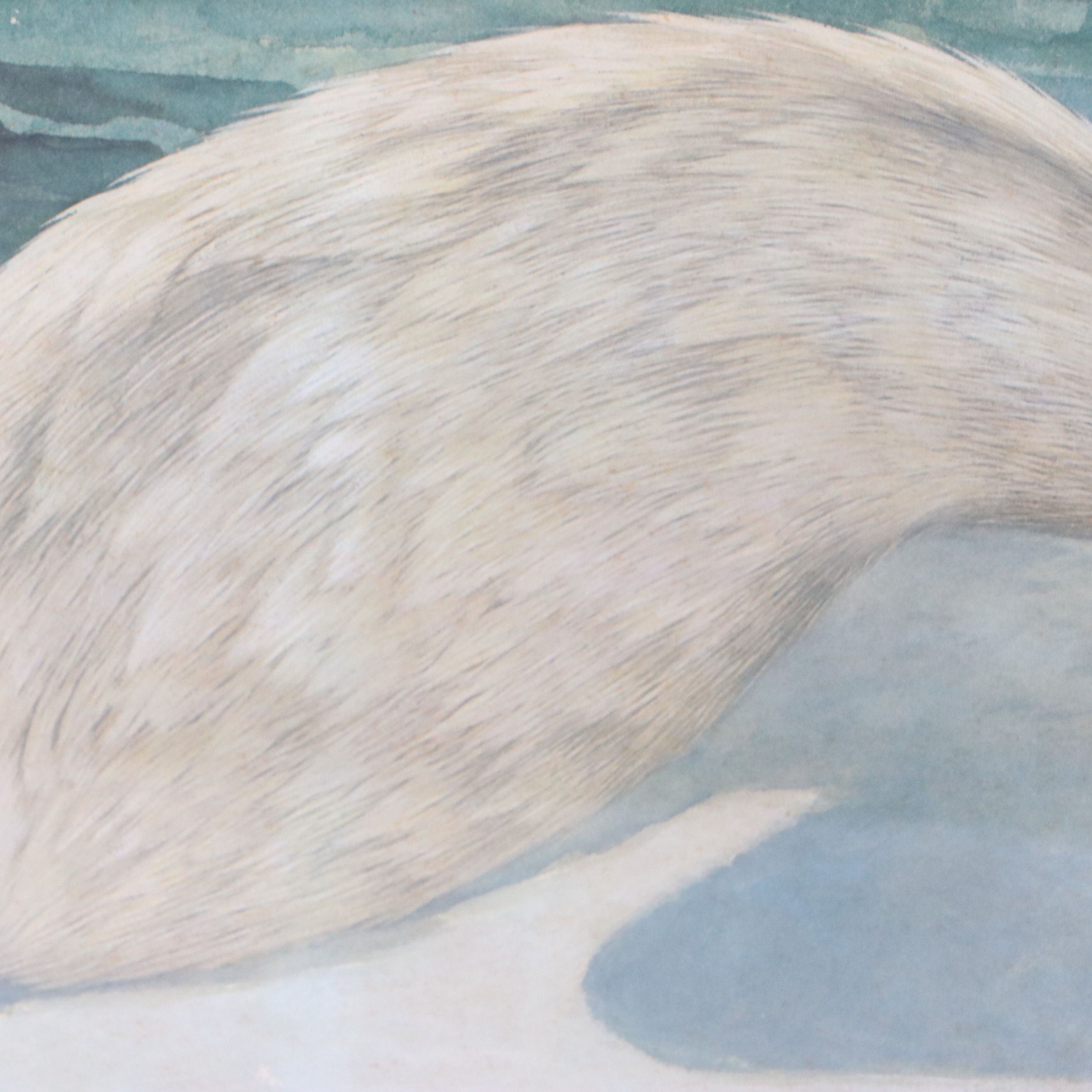 John A. Ruthven Offset Lithograph "Arctic Fox"