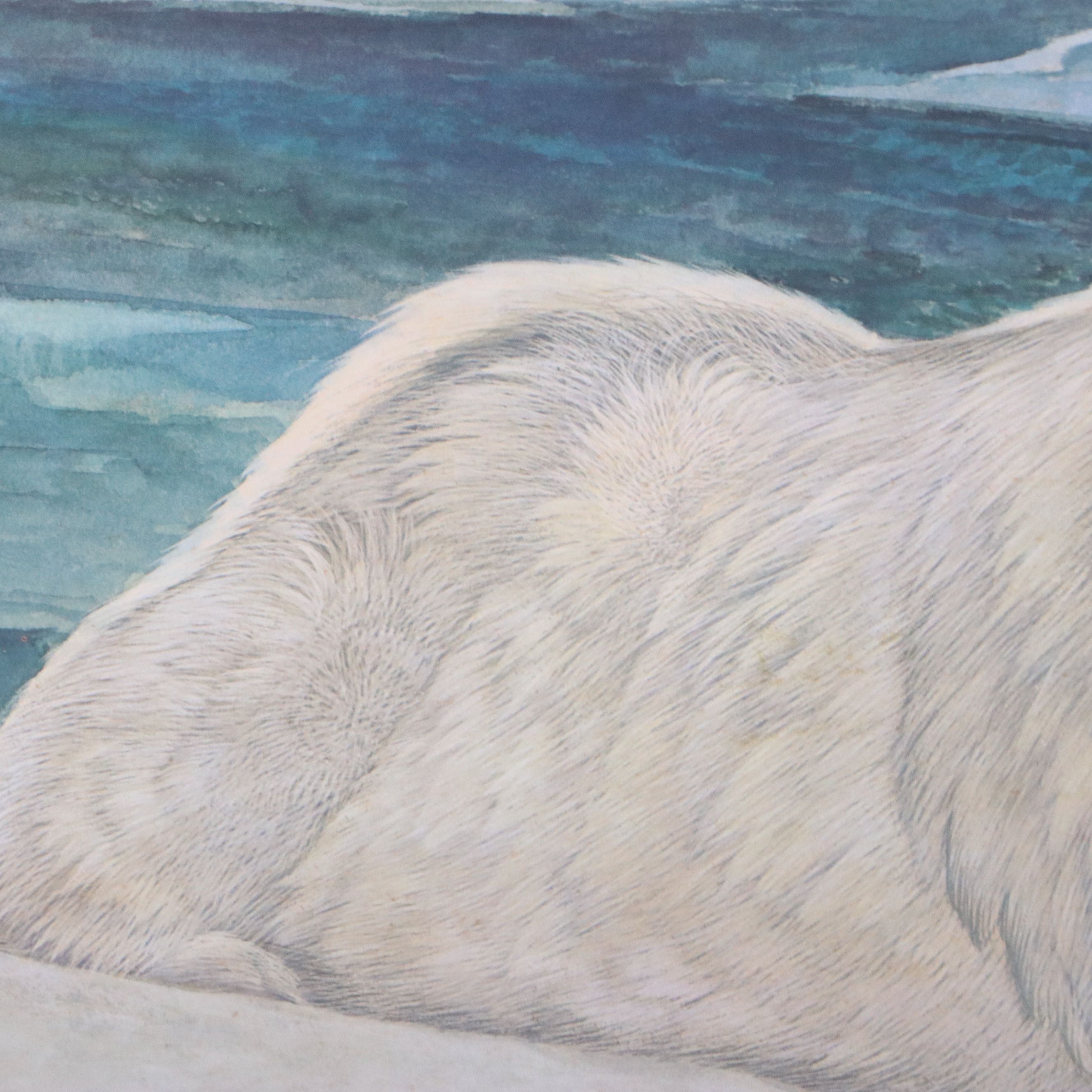 John A. Ruthven Offset Lithograph "Arctic Fox"