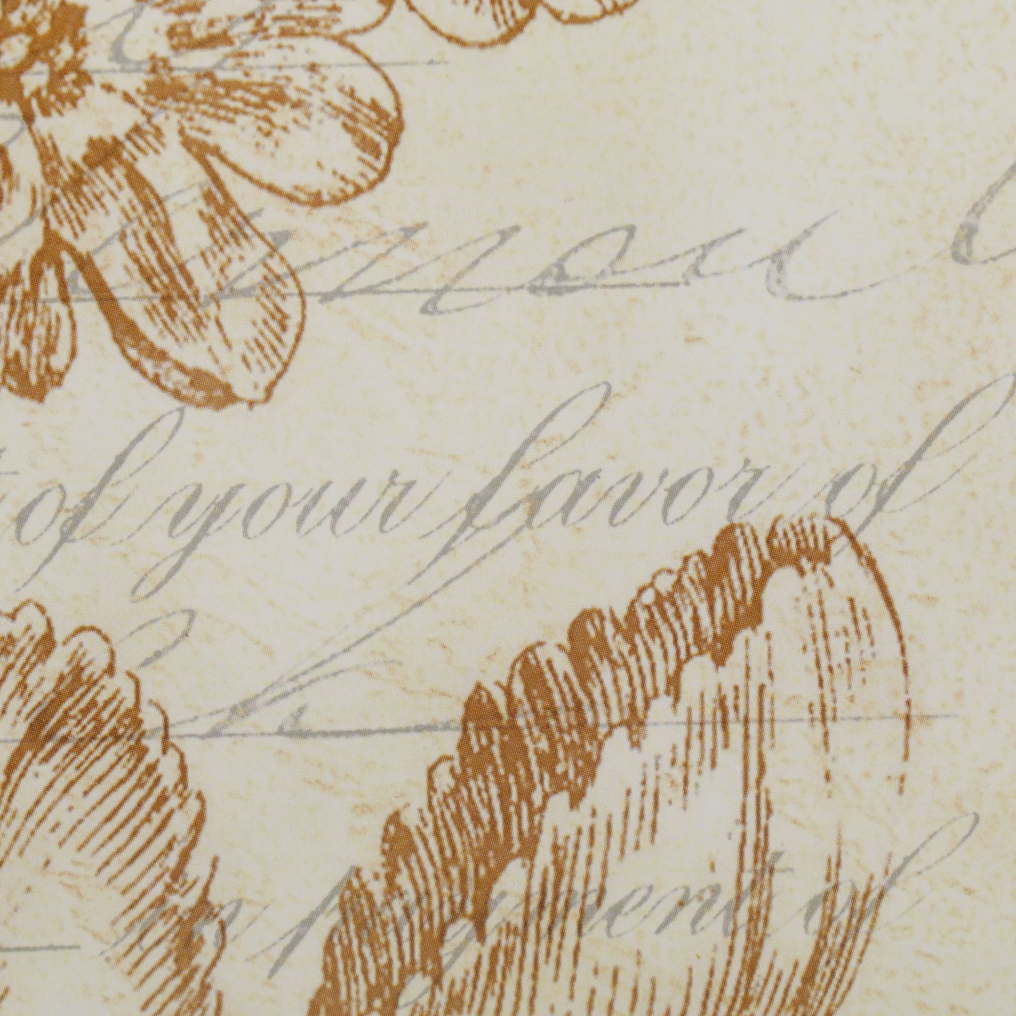 Indianara Offset Lithograph After Crispijn de Passe "Auricula ursi (Bear's Ear)"