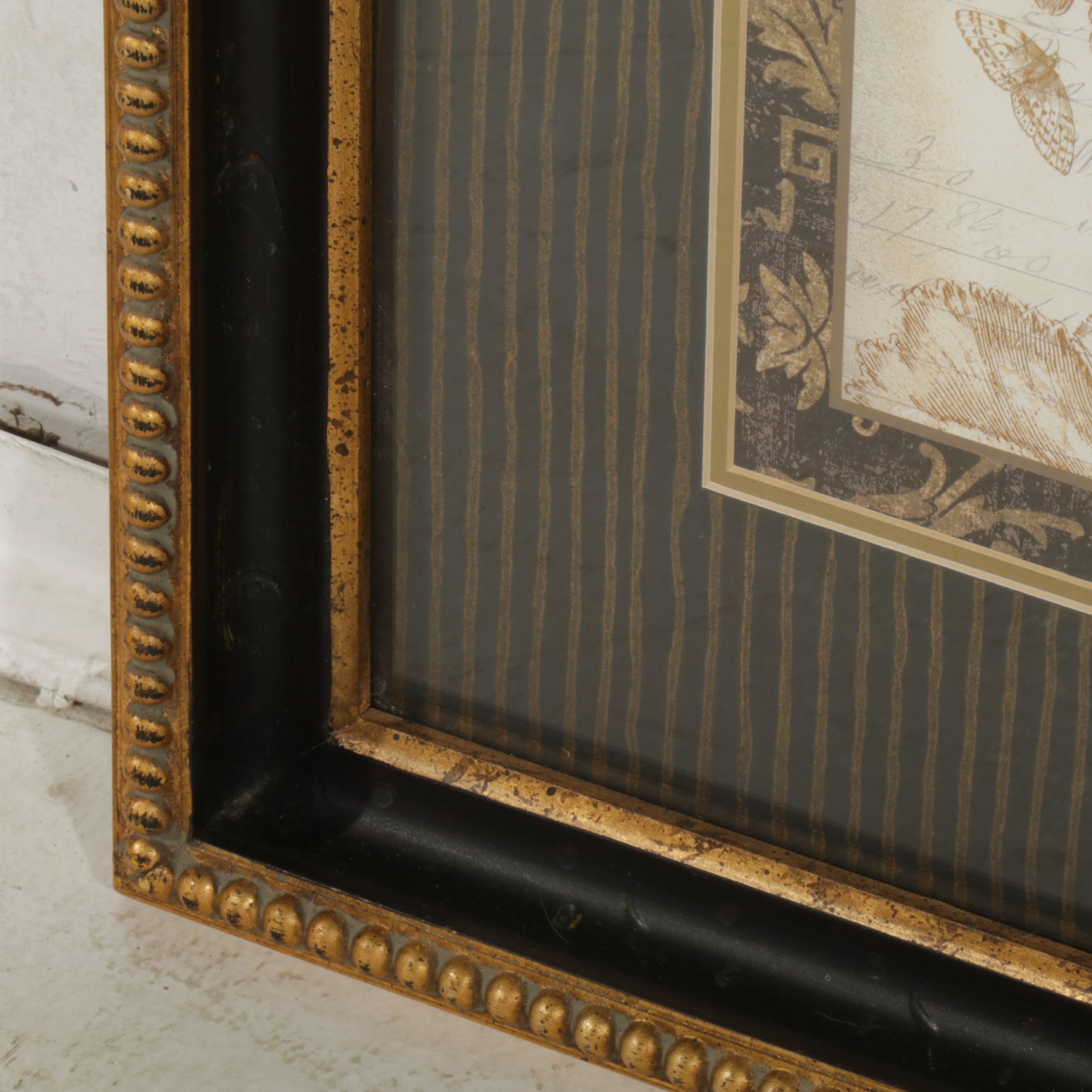 Indianara Offset Lithograph After Crispijn de Passe "Auricula ursi (Bear's Ear)"