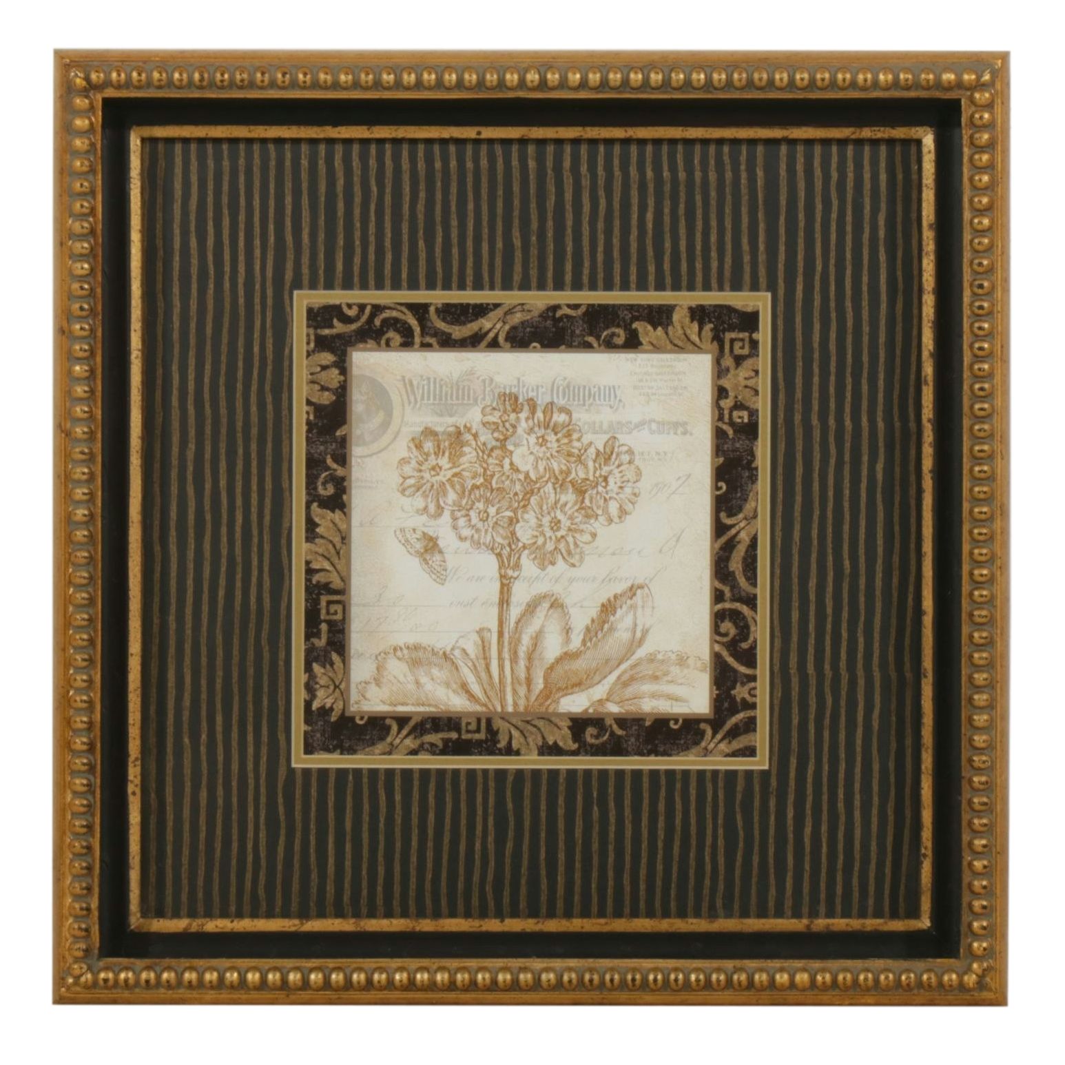 Indianara Offset Lithograph After Crispijn de Passe "Auricula ursi (Bear's Ear)"