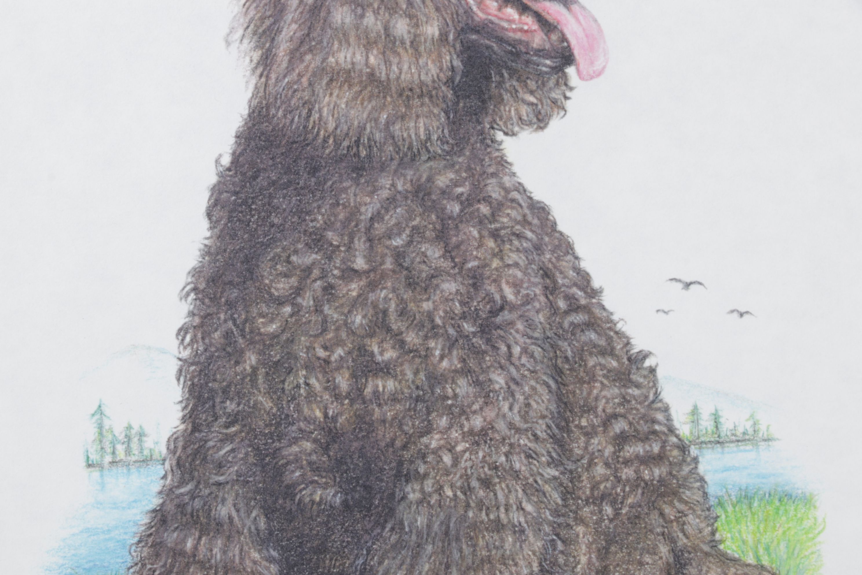 Rodica E. Solomon Digital Portrait of Chocolate Poodle, 1999