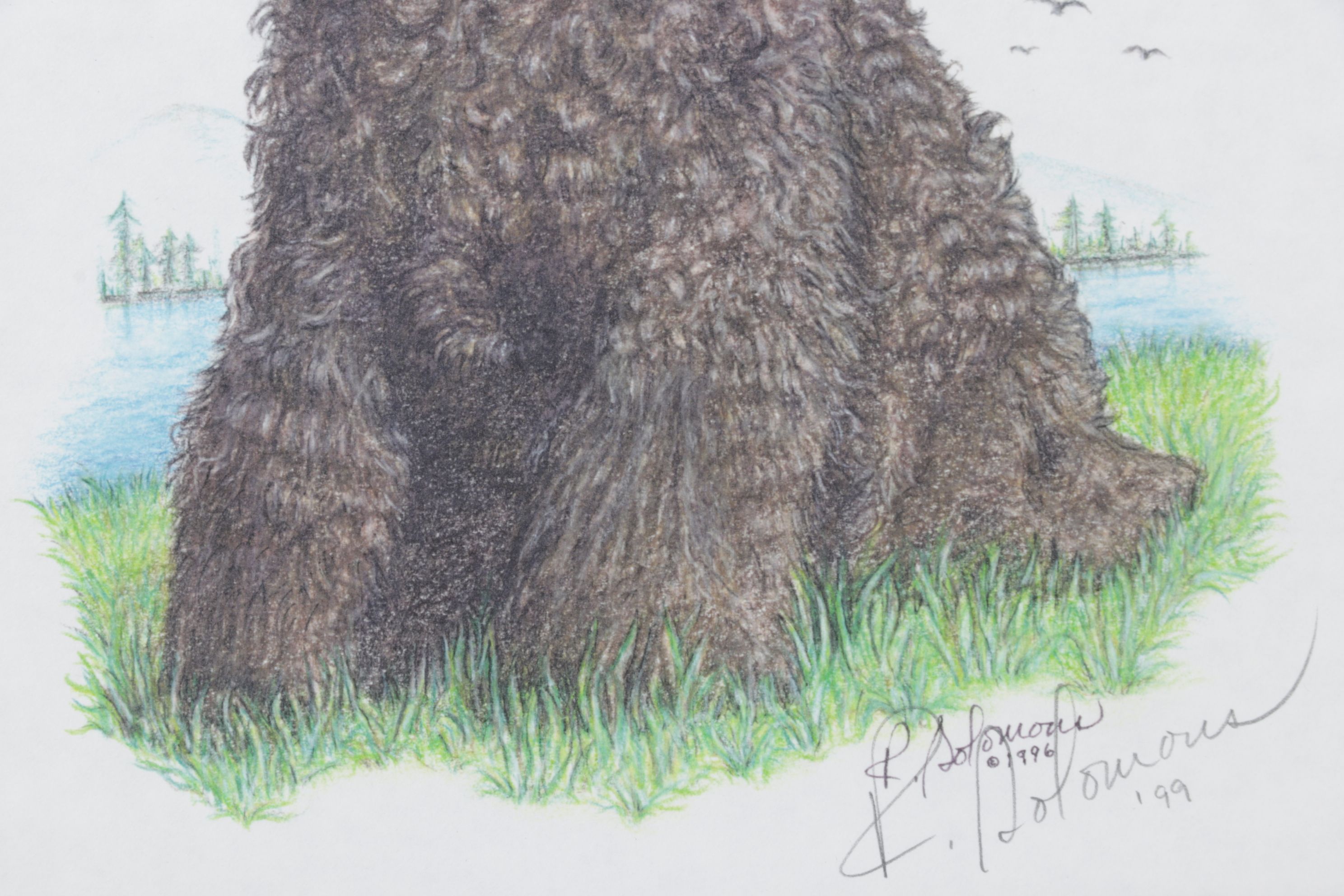 Rodica E. Solomon Digital Portrait of Chocolate Poodle, 1999