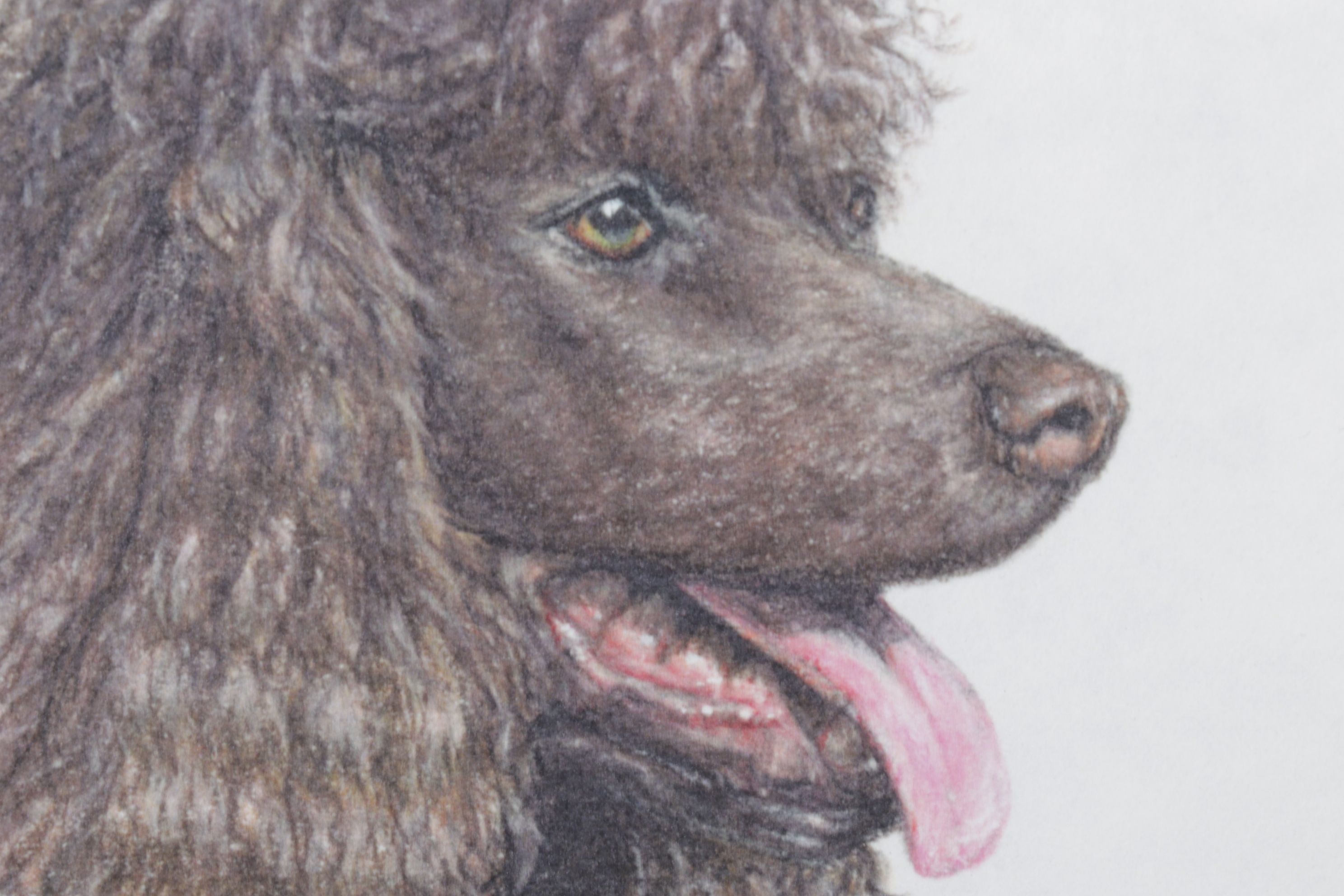 Rodica E. Solomon Digital Portrait of Chocolate Poodle, 1999