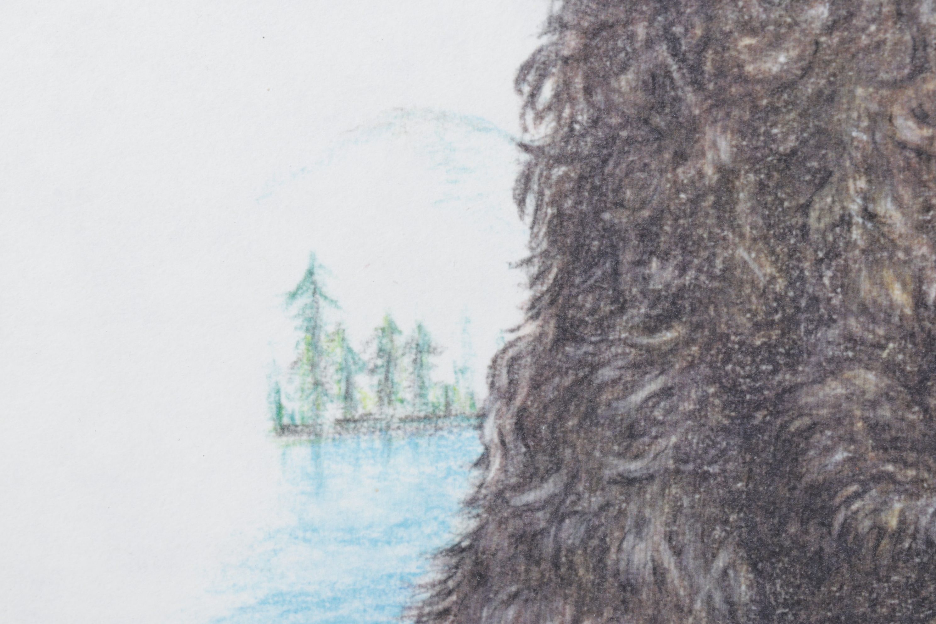 Rodica E. Solomon Digital Portrait of Chocolate Poodle, 1999