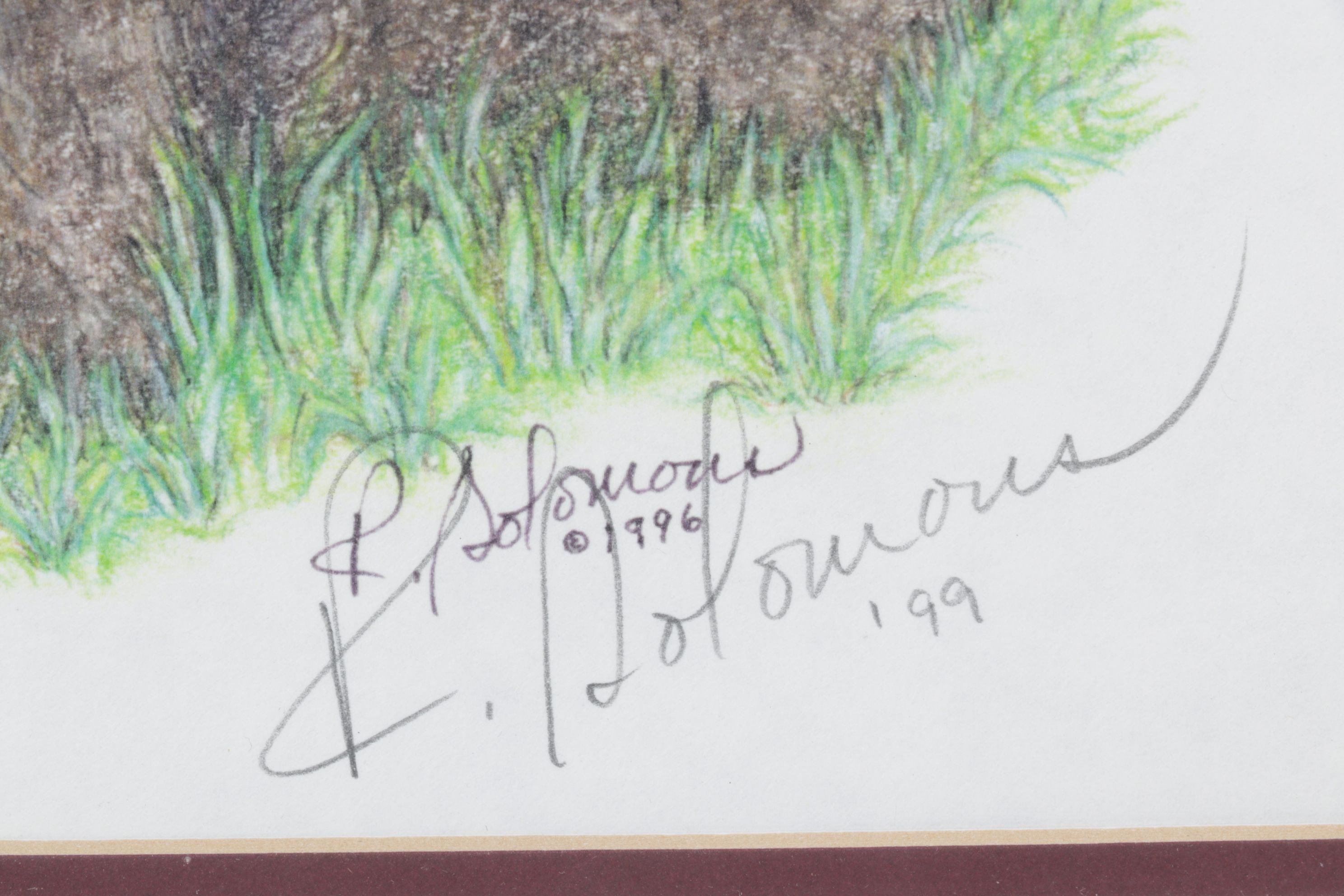 Rodica E. Solomon Digital Portrait of Chocolate Poodle, 1999