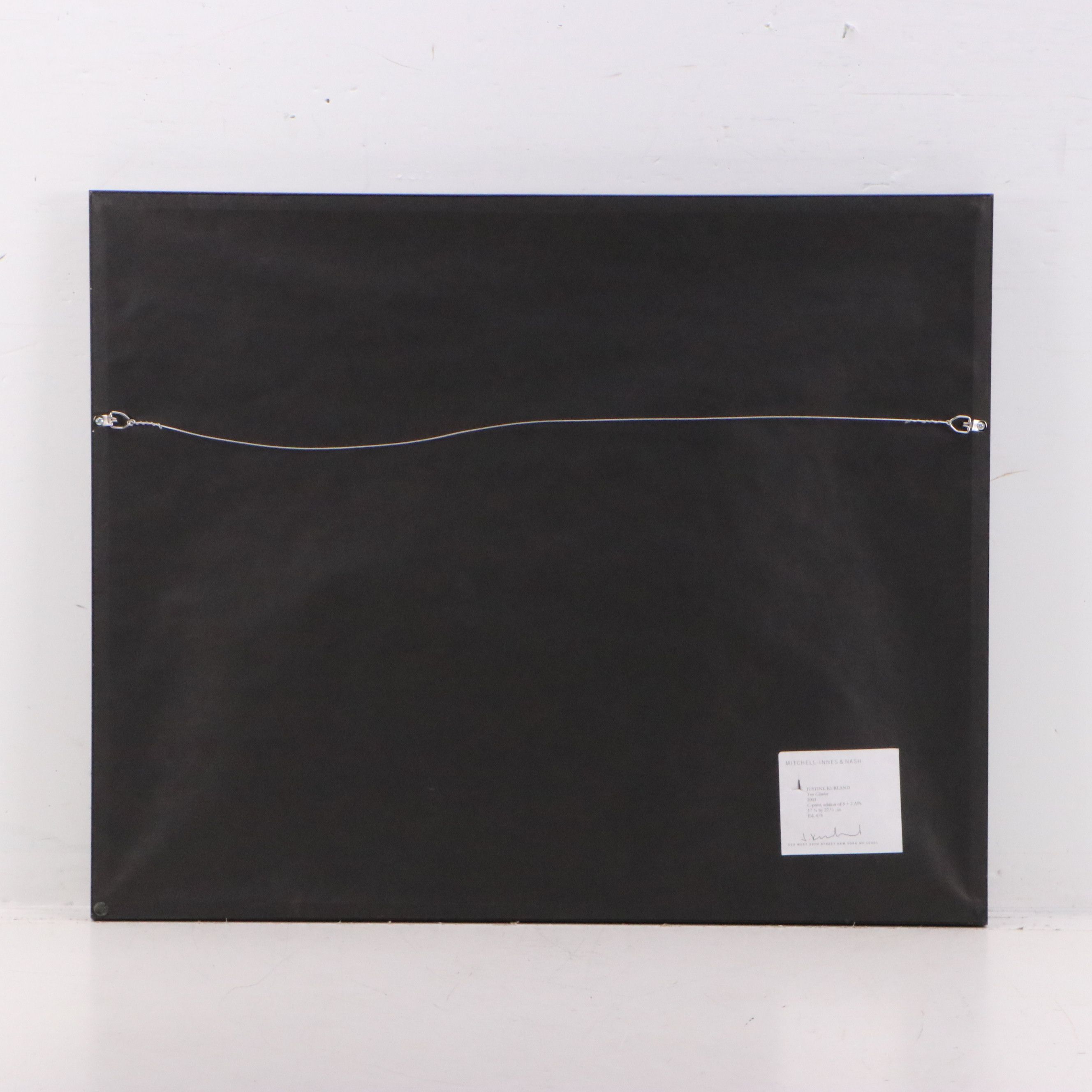 Justine Kurland Chromogenic Print "Tree Climber," 2003