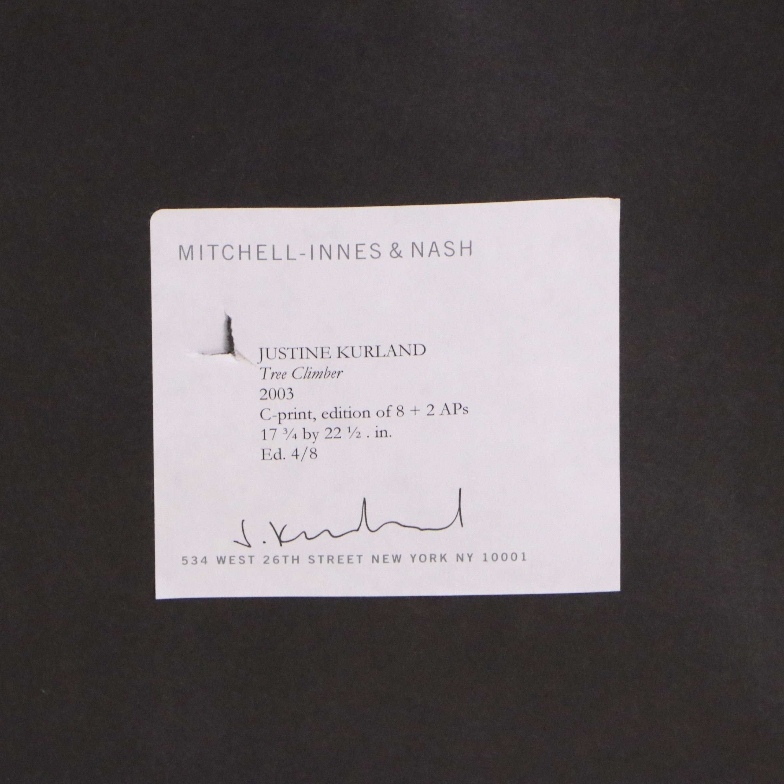 Justine Kurland Chromogenic Print "Tree Climber," 2003