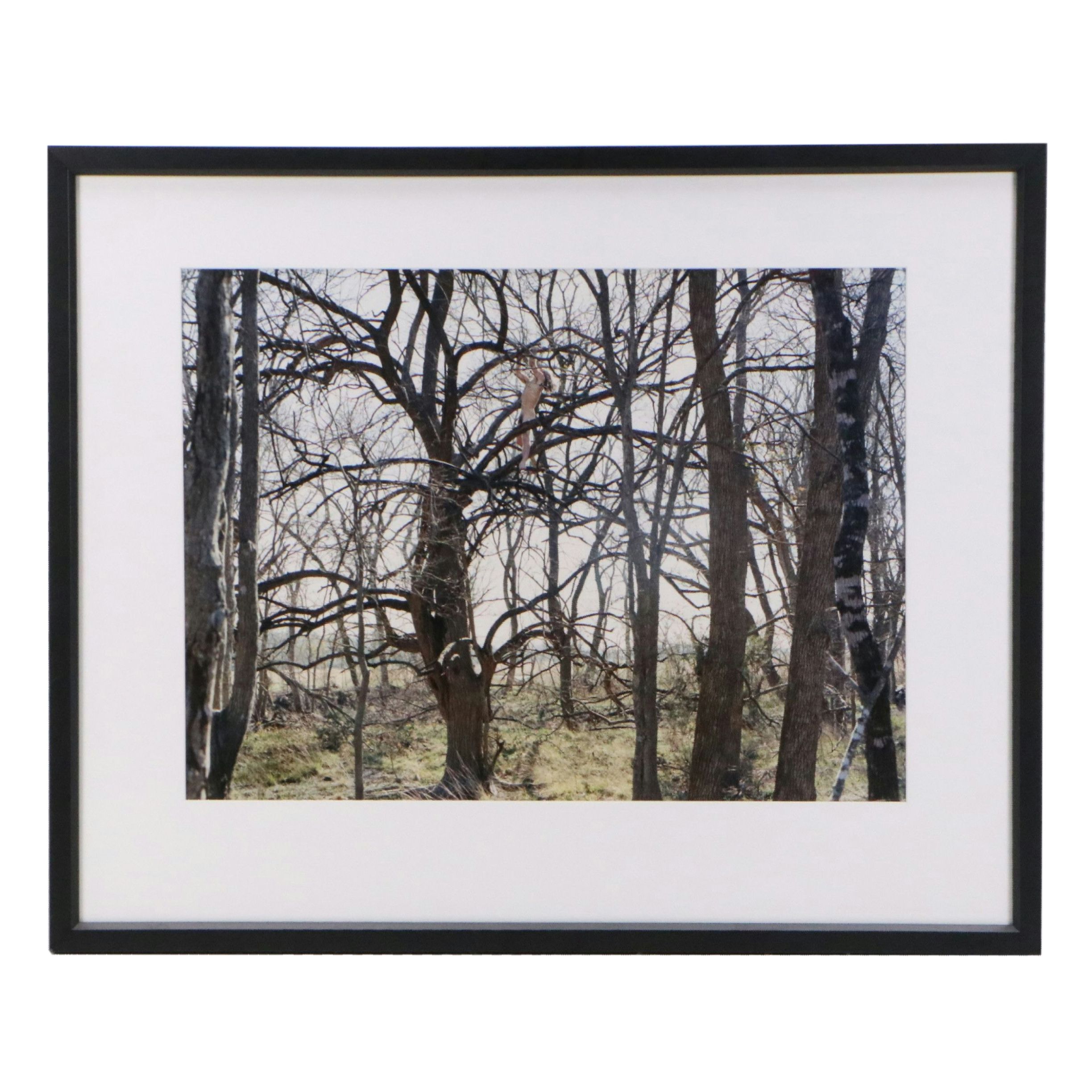 Justine Kurland Chromogenic Print "Tree Climber," 2003